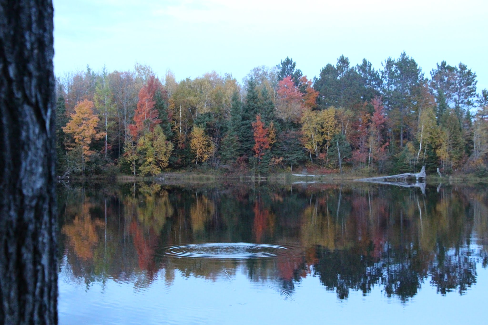 Perfection in the fall