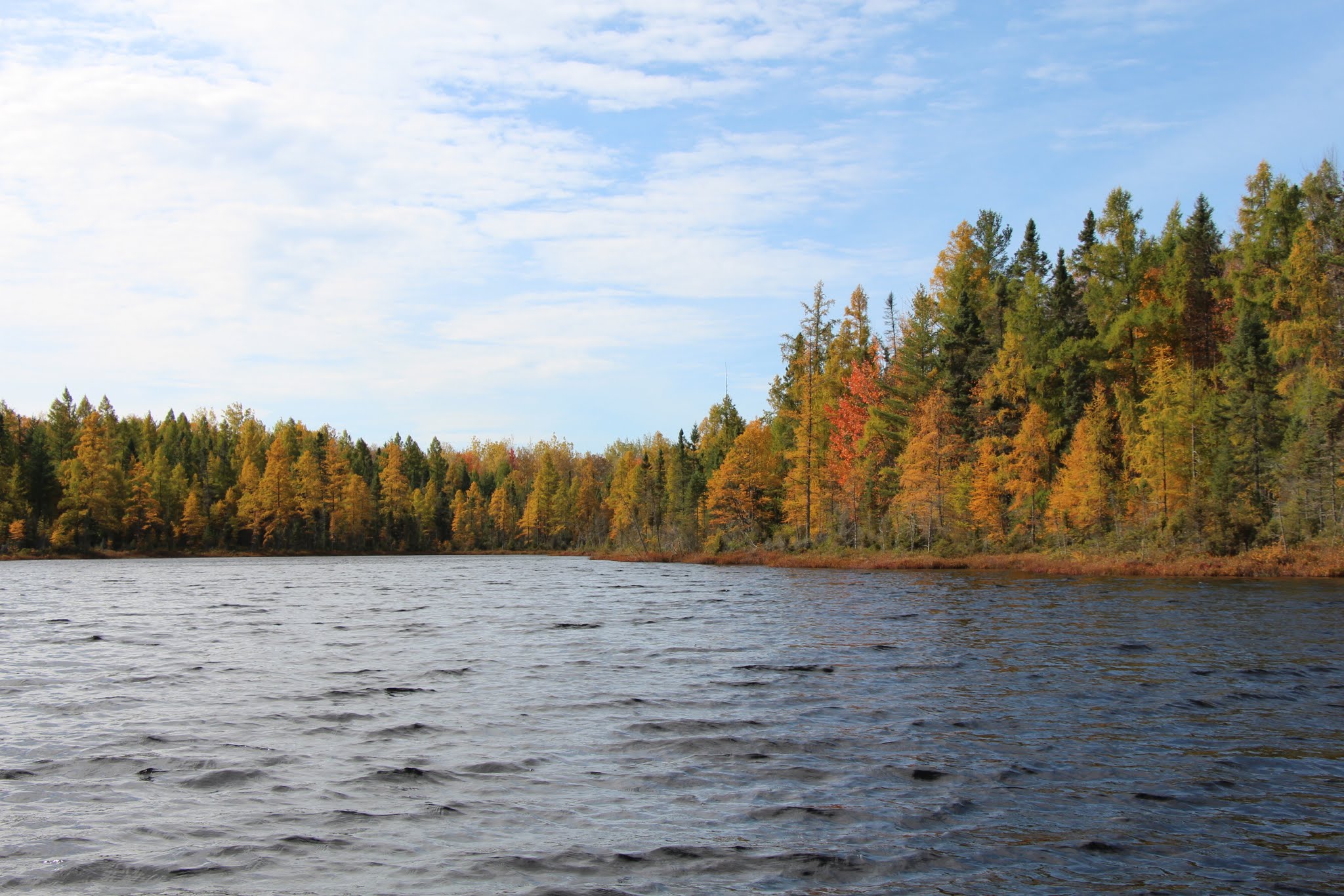 Little cub lake just walking distance away