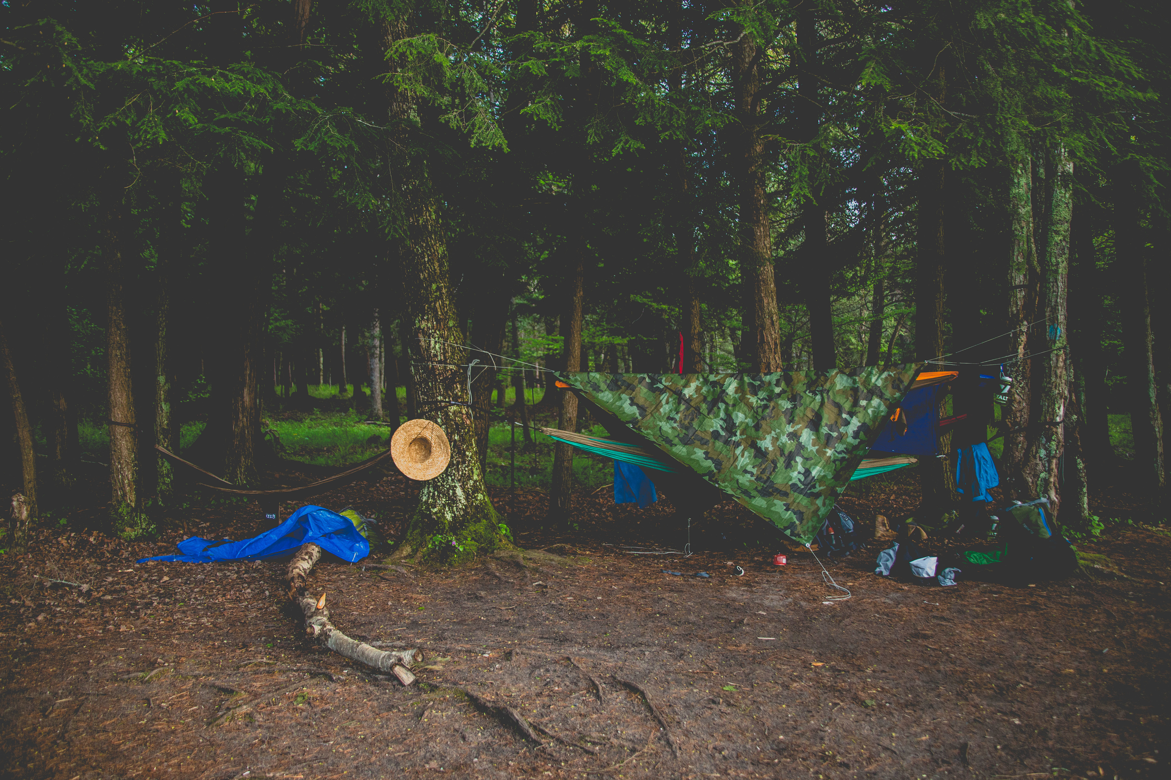 Pines Point Campground