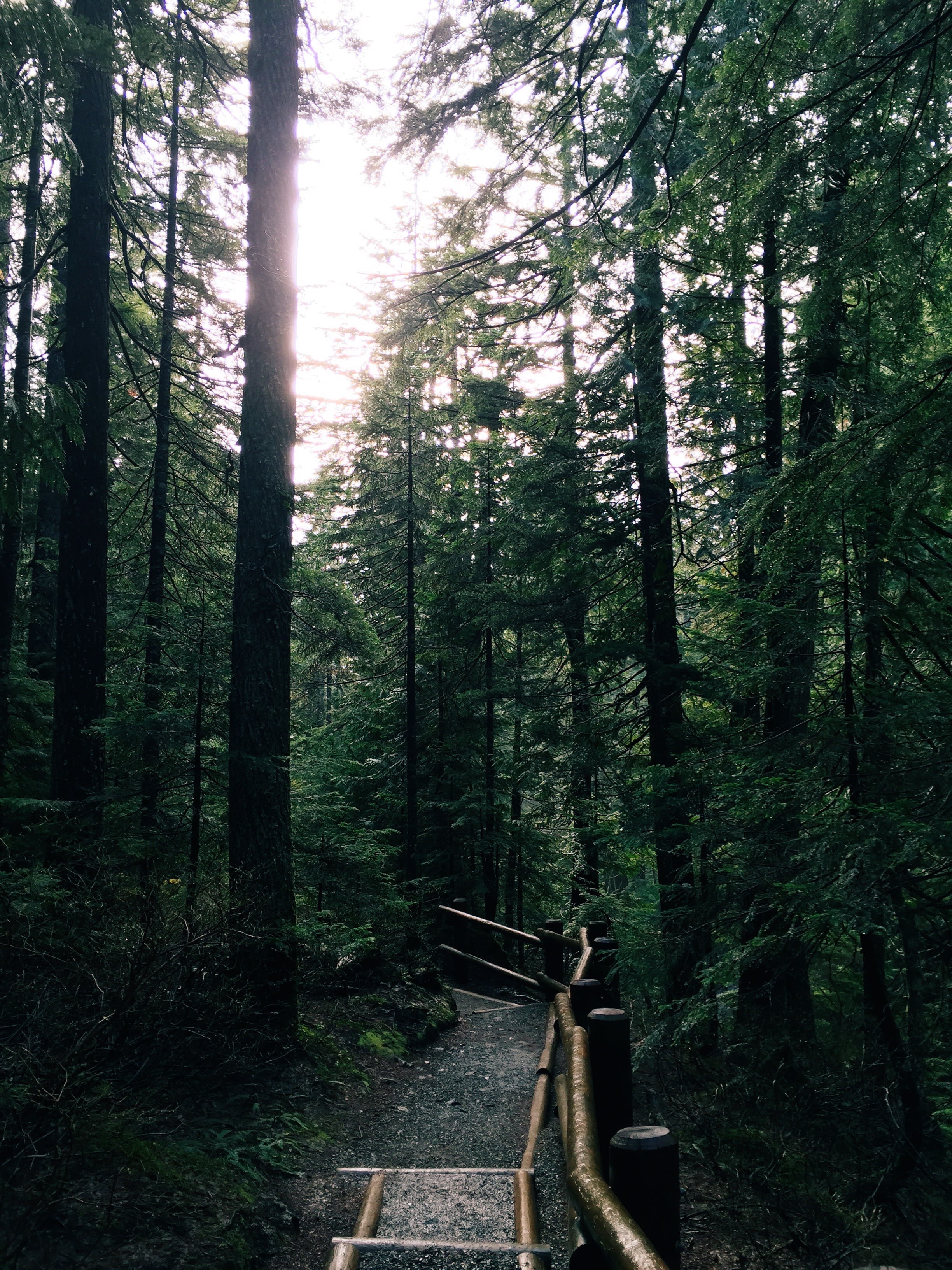 Franklin Falls Trail
