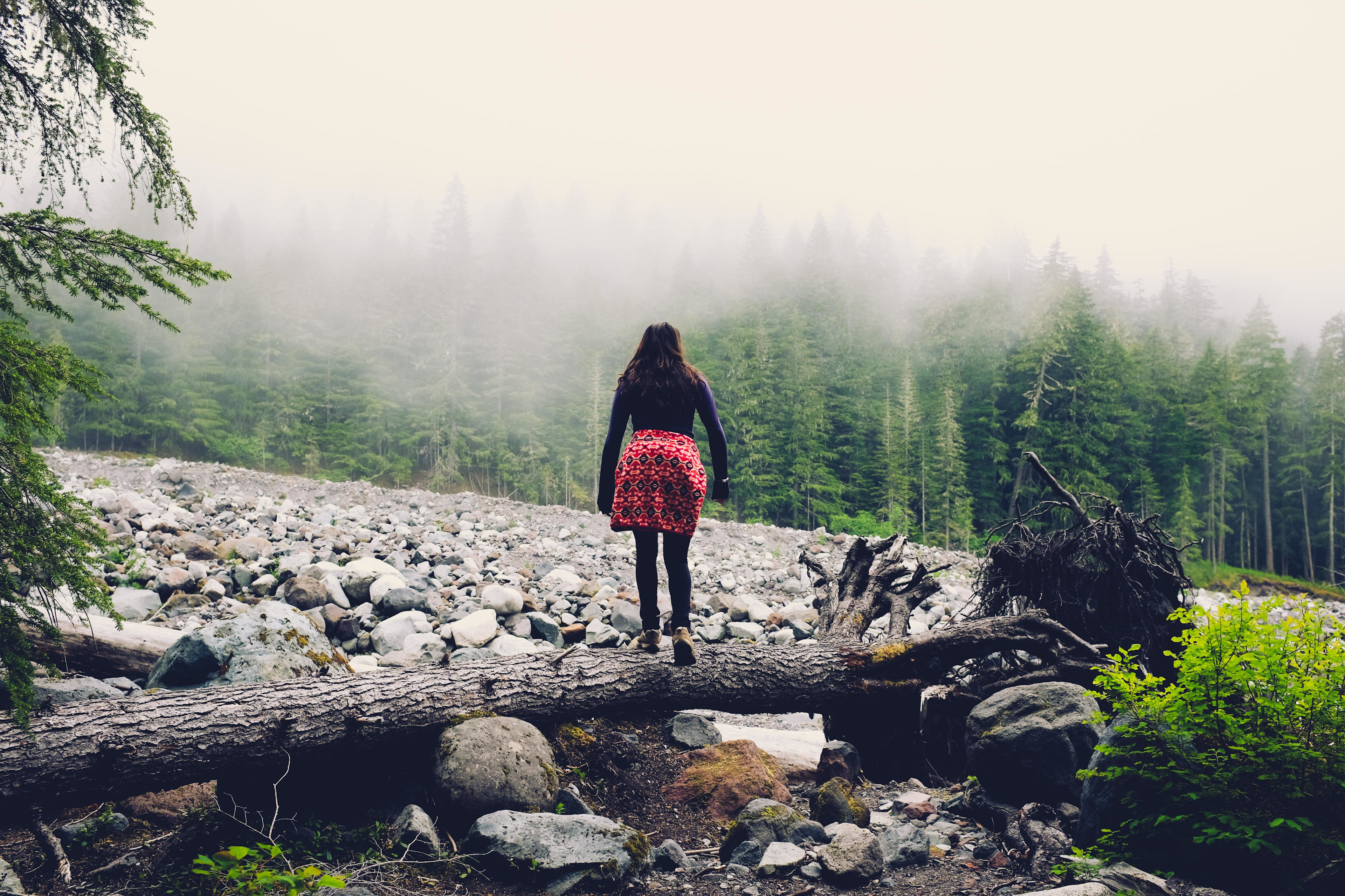 Carbon River — a short walk from camp
