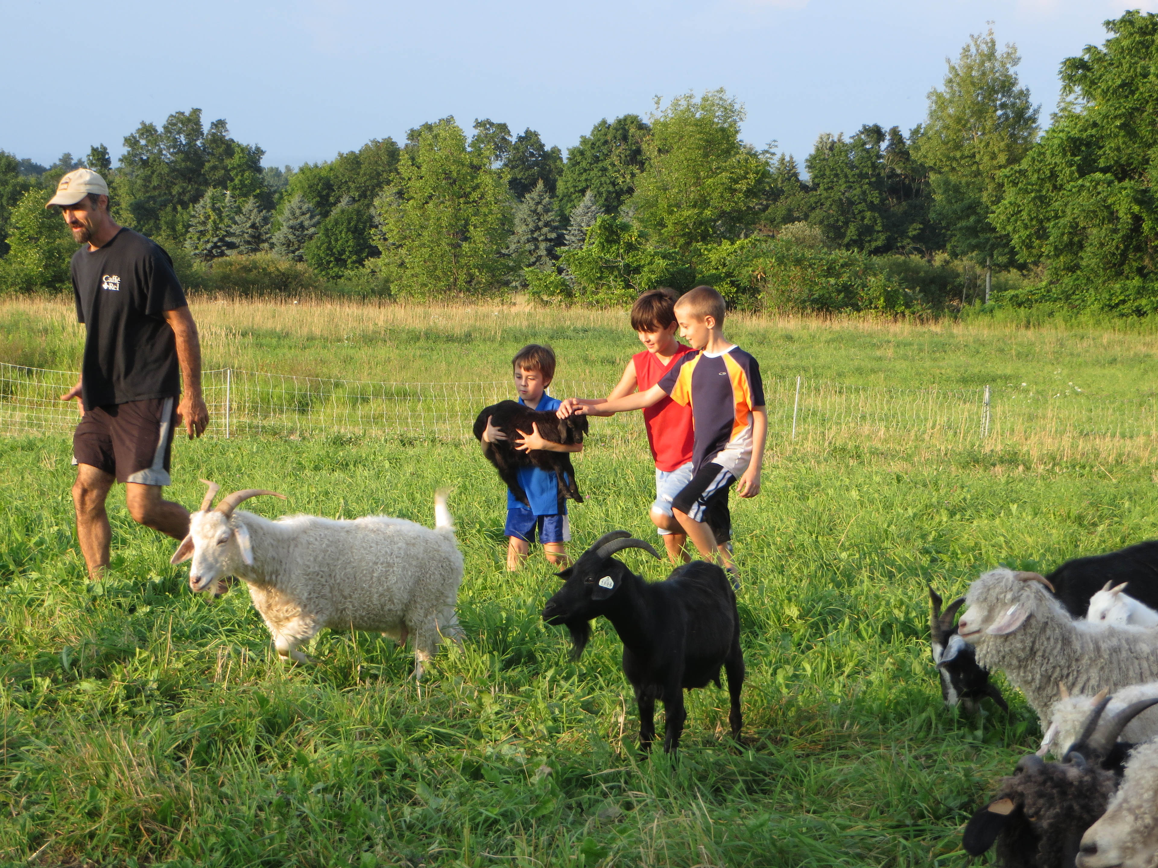 Sometimes there are goats nearby!