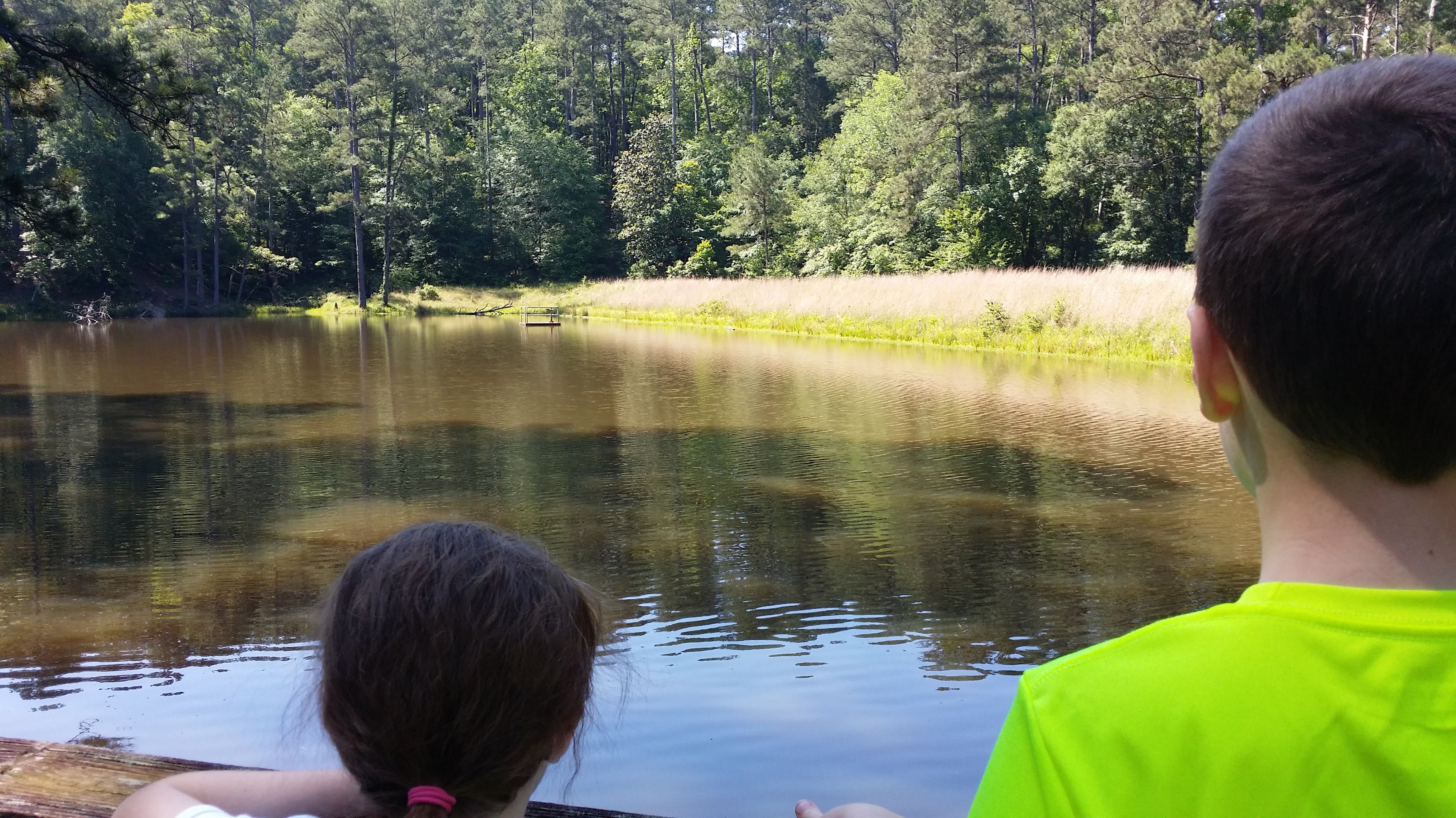Clear Springs smal lake area @ Clear Springs Campground - a USFS campground near Roxie, MS between Bude and Natchez, MS off Hwy. 84/98.