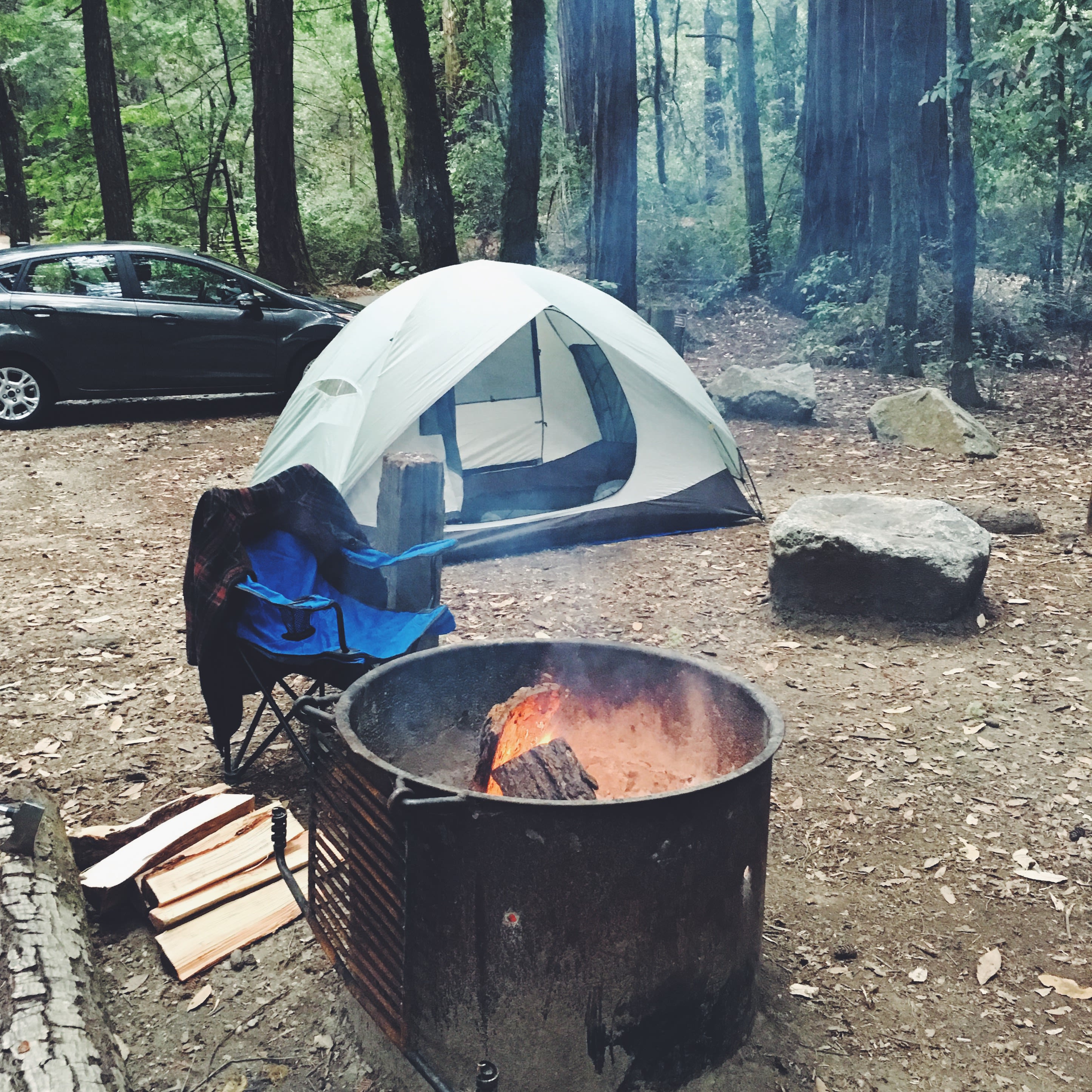 Site 160 - Sempervirens Loop. 