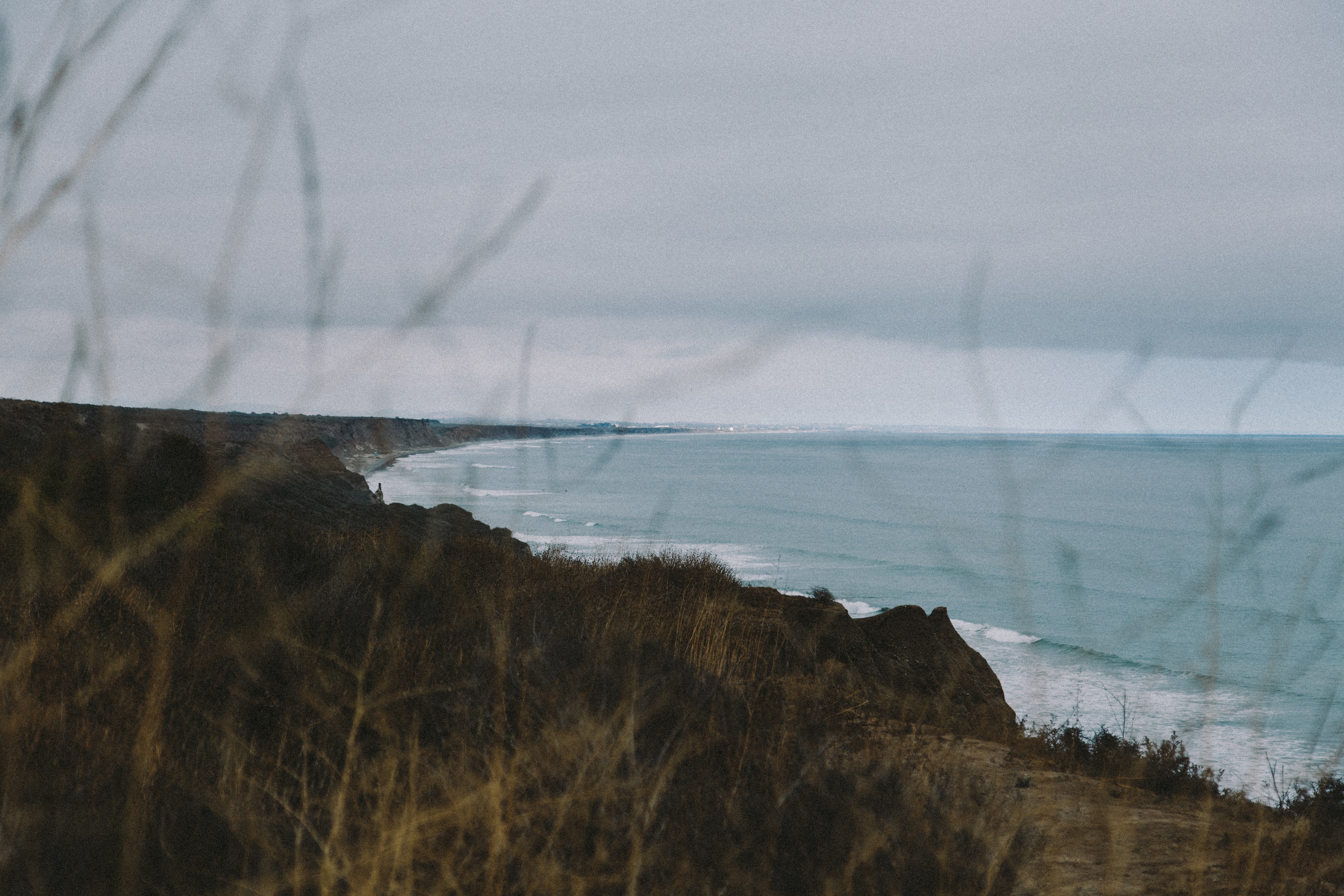 Landscape of the bluff