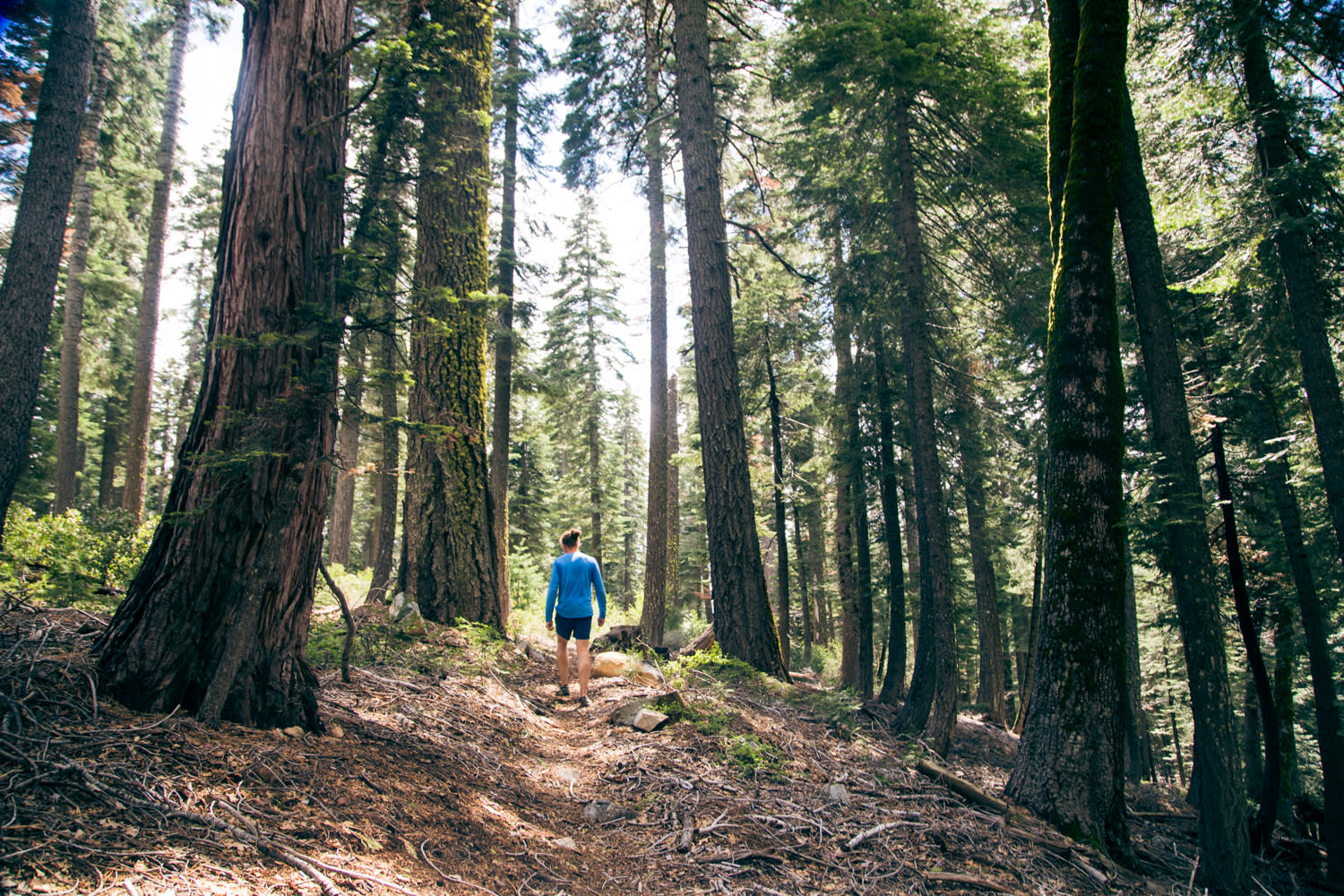 The Pioneer Trail is a 5-minute walk from the cabin. It's 25 mile long trail that weaves through dense forests and ice cold rivers, with sweeping views and complete privacy. On our 10-mile run, we didn't bump into a single person.