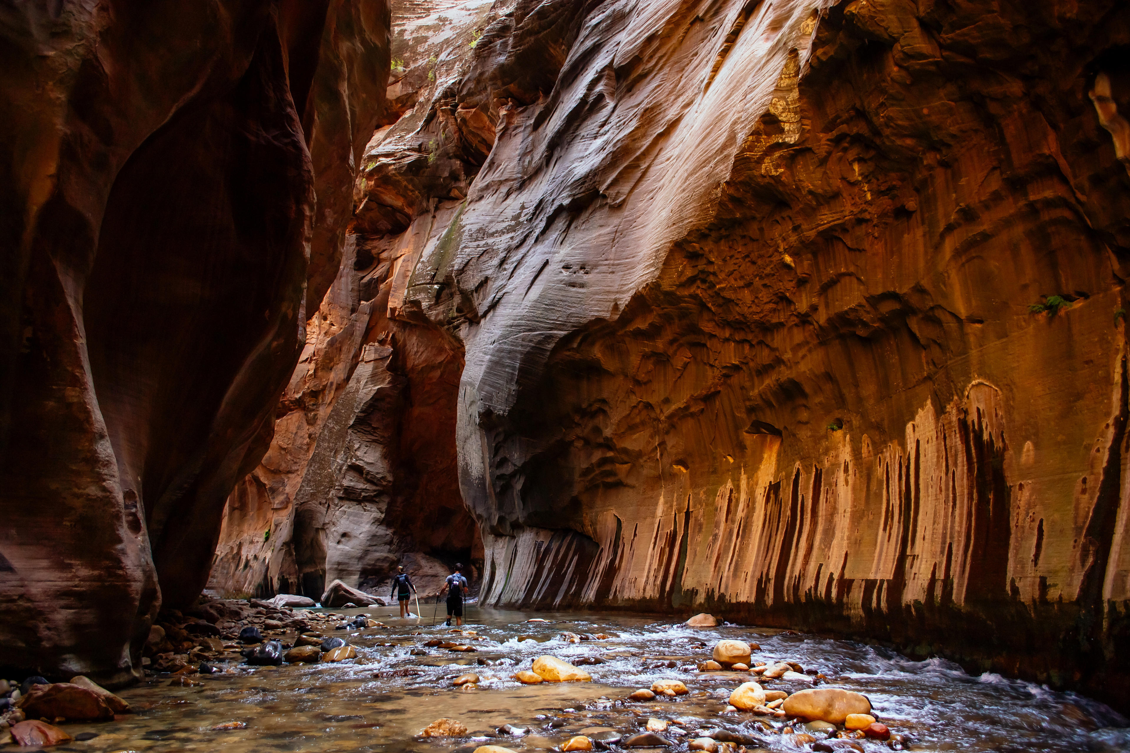 Deep in The Narrows.