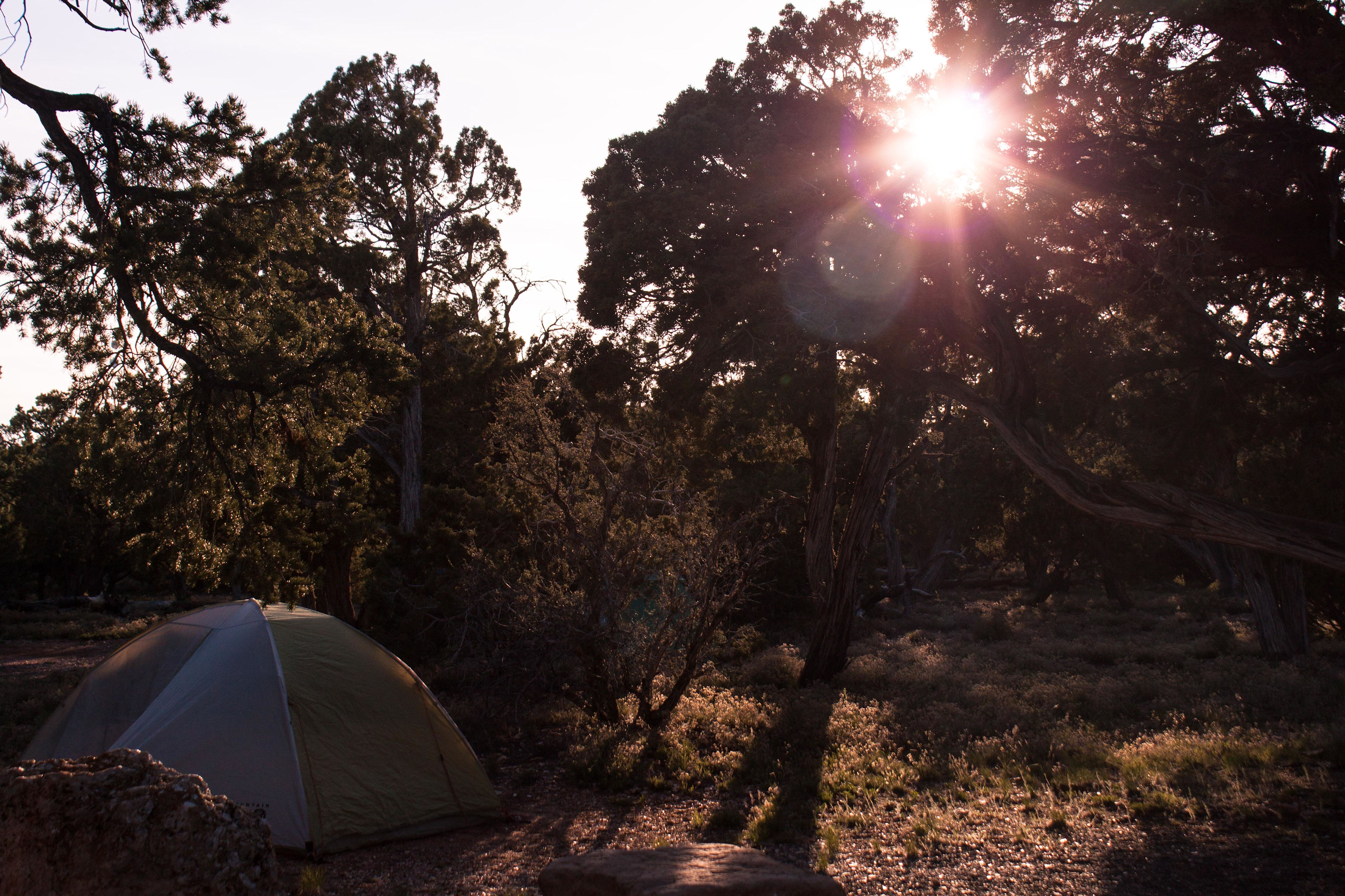 Site #15 is nestled in the trees.