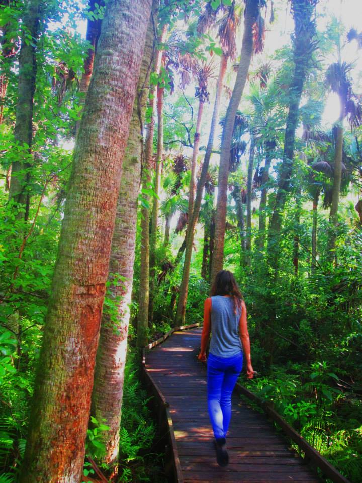 The boardwalk. Smells like tropical.