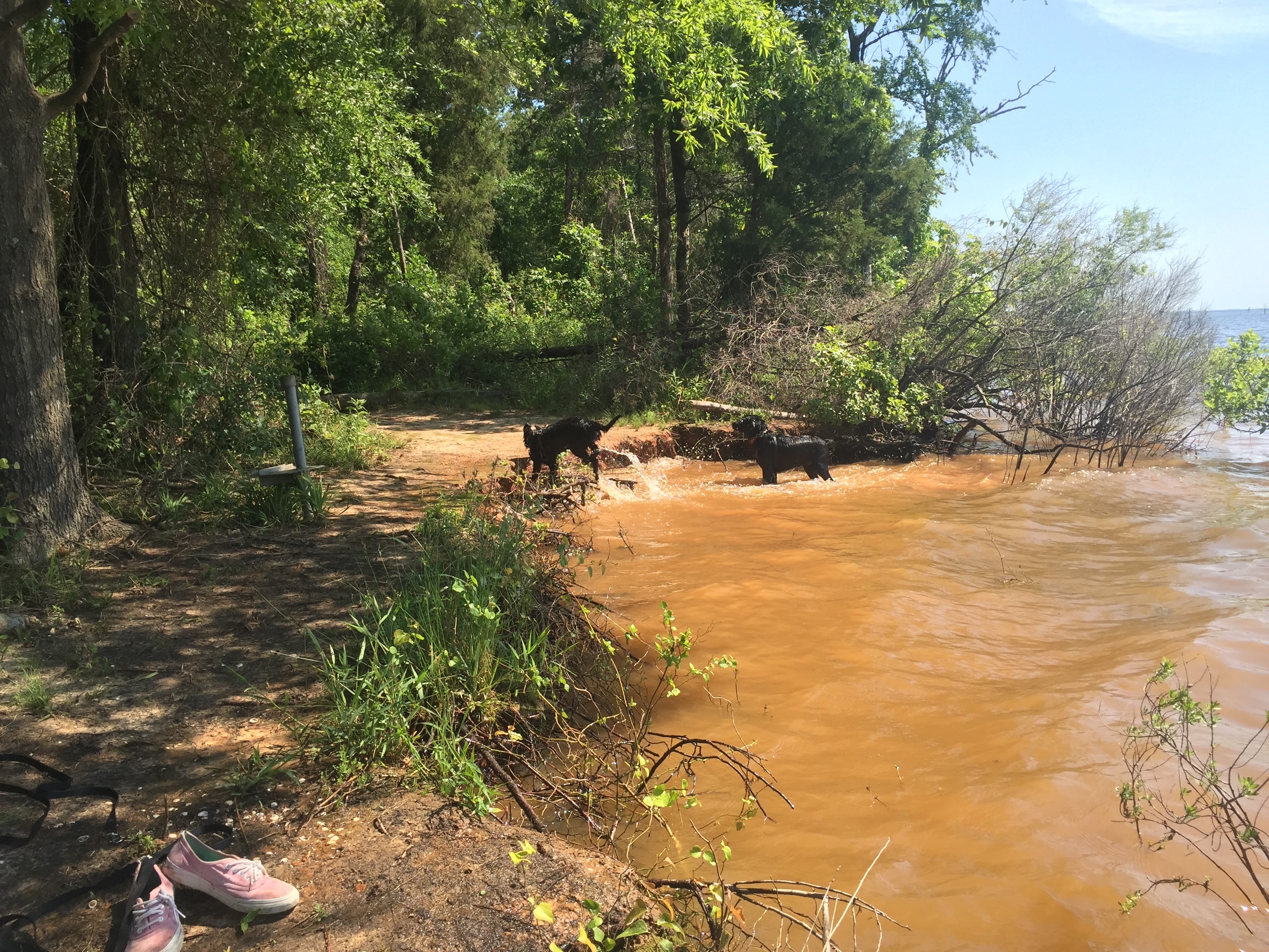 Found a cute little area by the water. Park by the overflow car spot and there's a small trail. We had it to ourselves for about 1 1/2 hrs