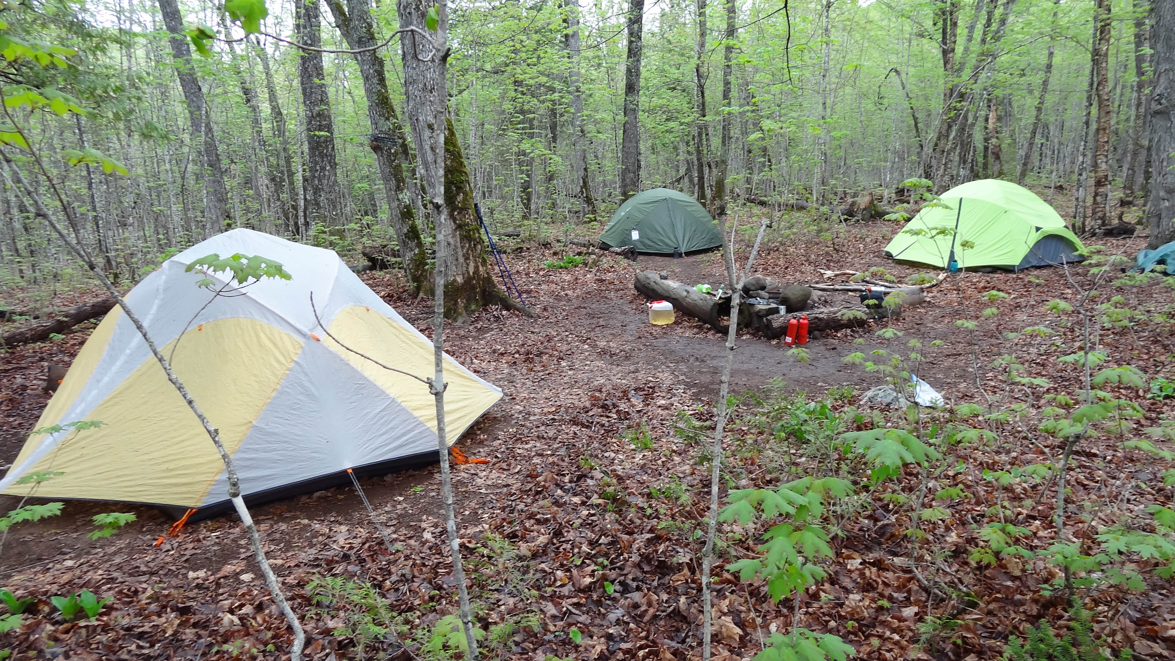 Site 4 with fire ring.  A spacious site with three good tent pad locations.  Logs around the fire ring weren't the greatest, however.