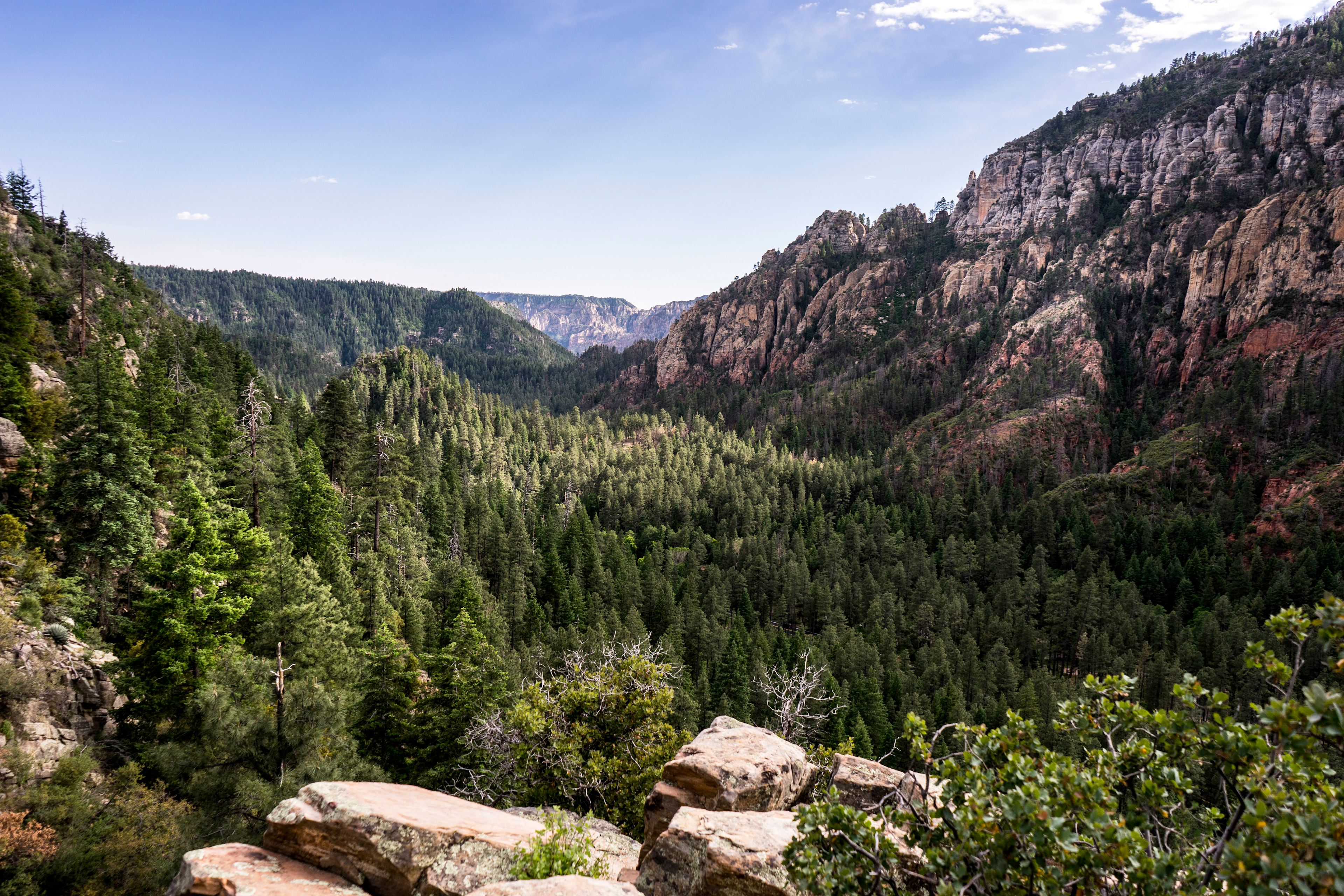 View from the halfway point up the steep ascent of Cookstove Trail. Just below sits the Pine Flat Campground