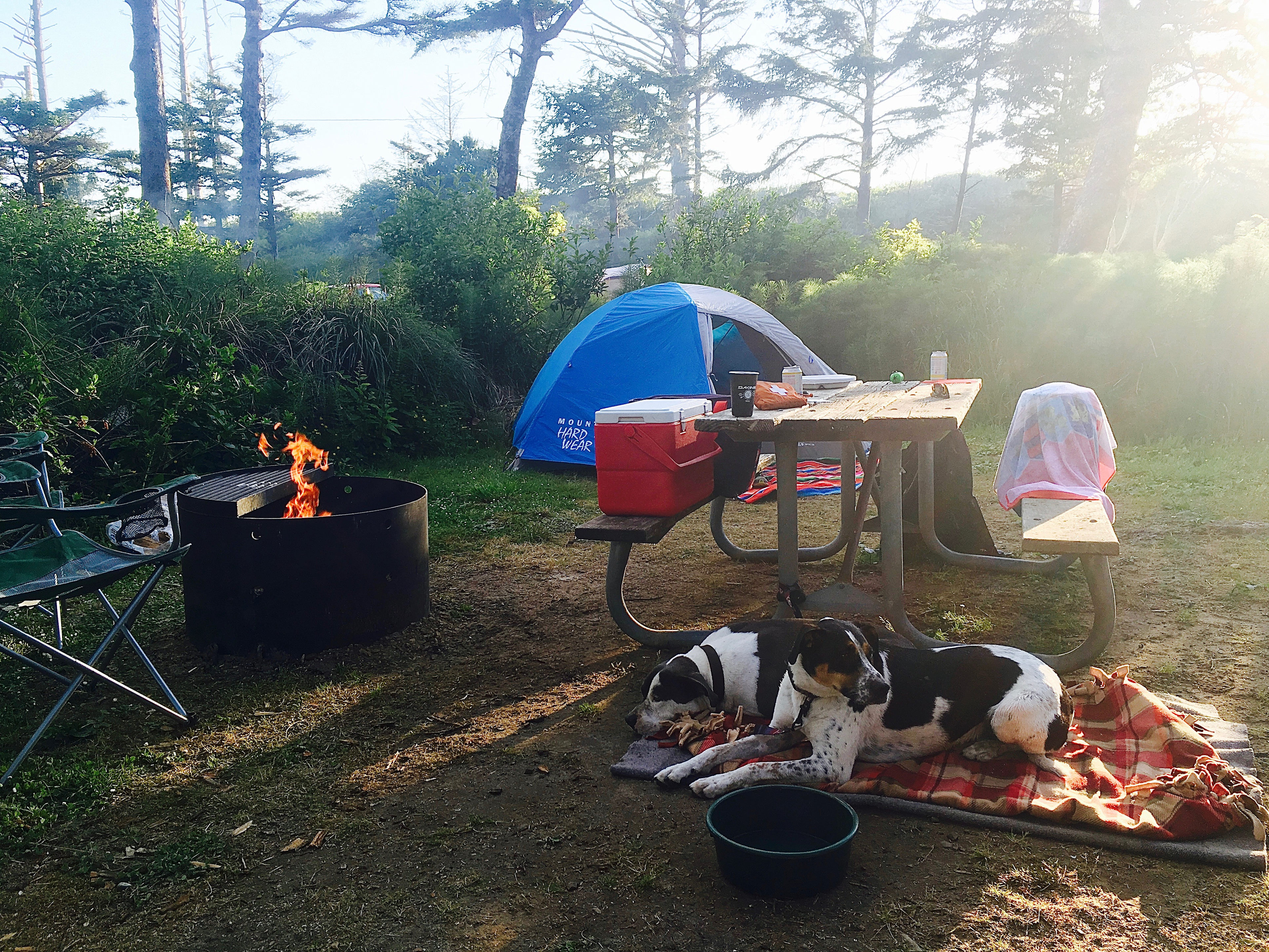 All campsites are well equipped with picnic table and raise fire pit w/ grilling grate. Also... the beach is just a stones throw away! 