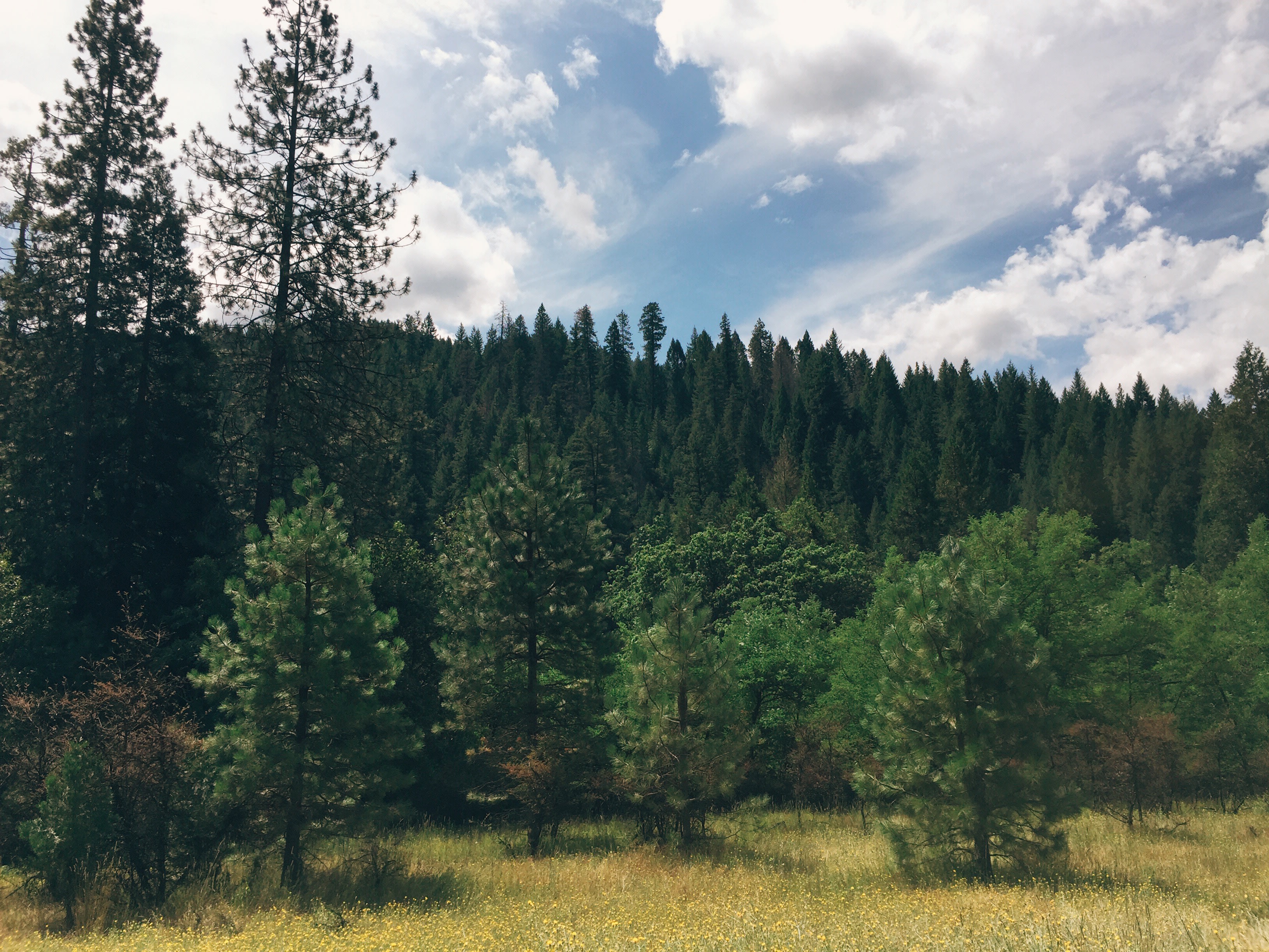Pacific Valley Campground
