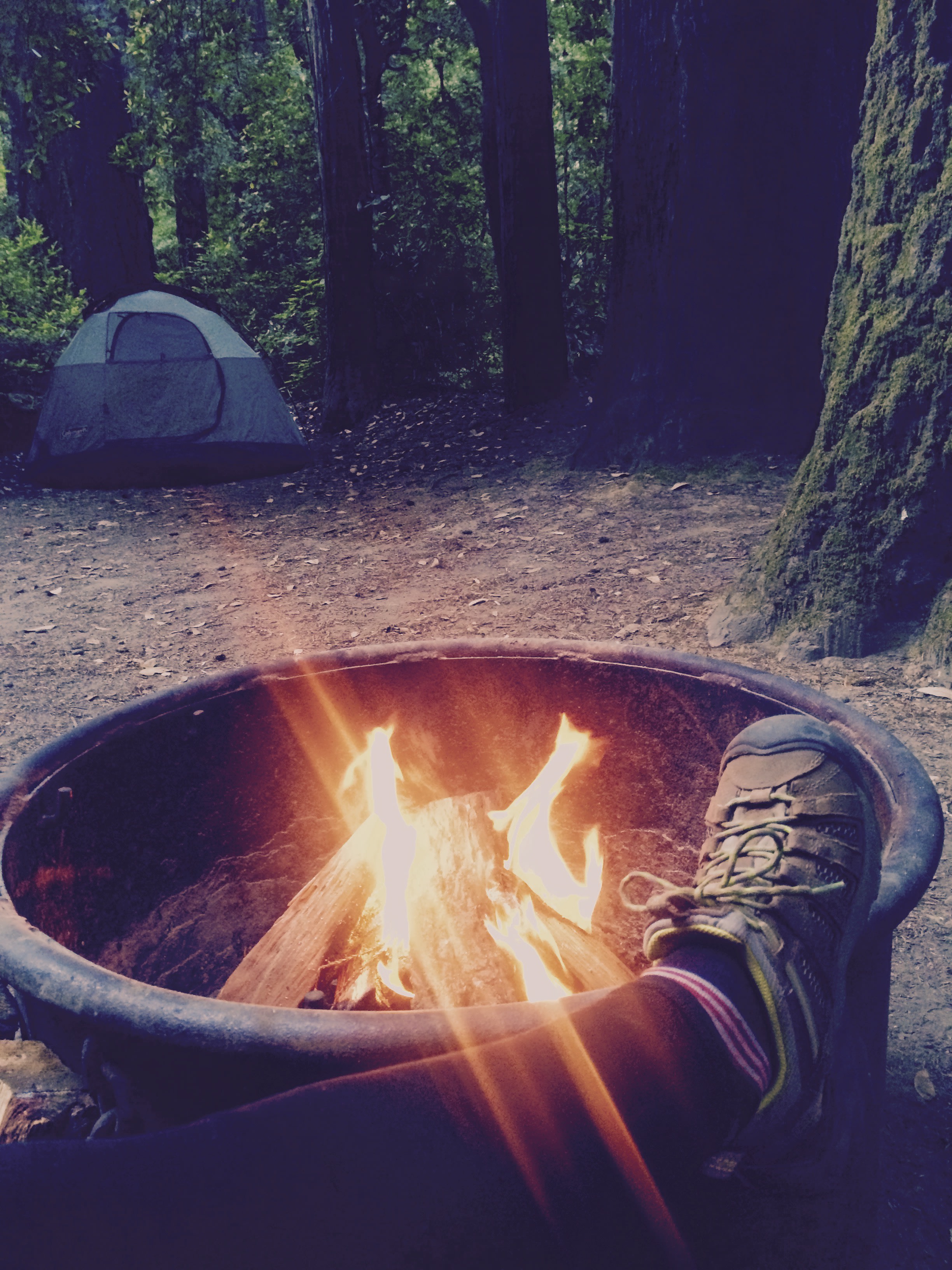I didnt find any rattlesnakes holed up in the fire ring as I often do in Tejas during the summer, so that was a bonus.  I brought my own wood.  However you can buy some at the camp store, but it will cost you a small fortune. 