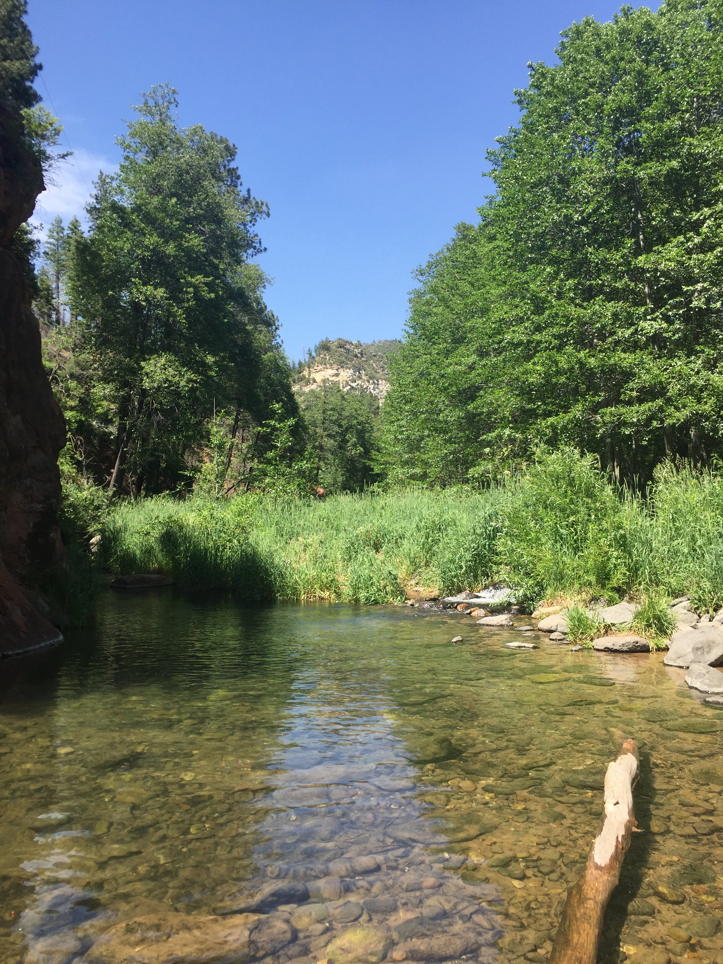 Cave Spring Campground