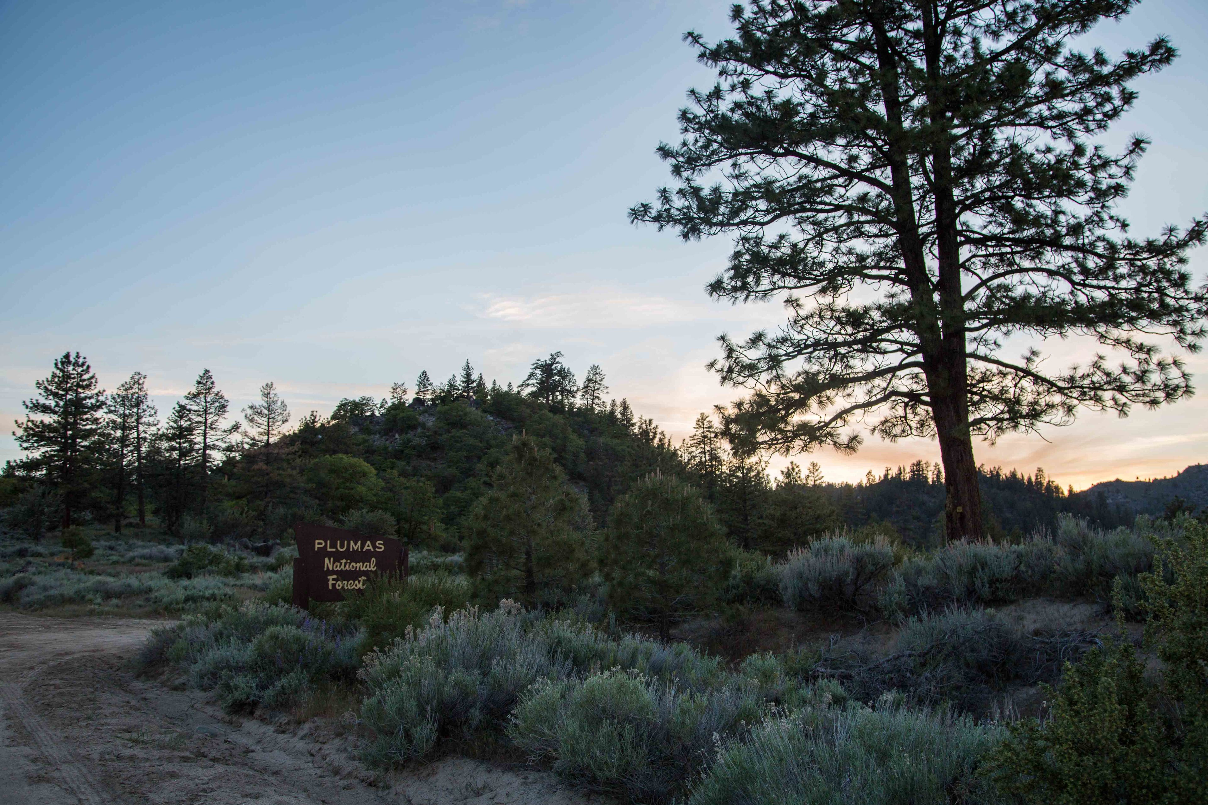 One entrance to the park on the way to the campground. Gravel roads that were passable with a car pulling a pop-up.