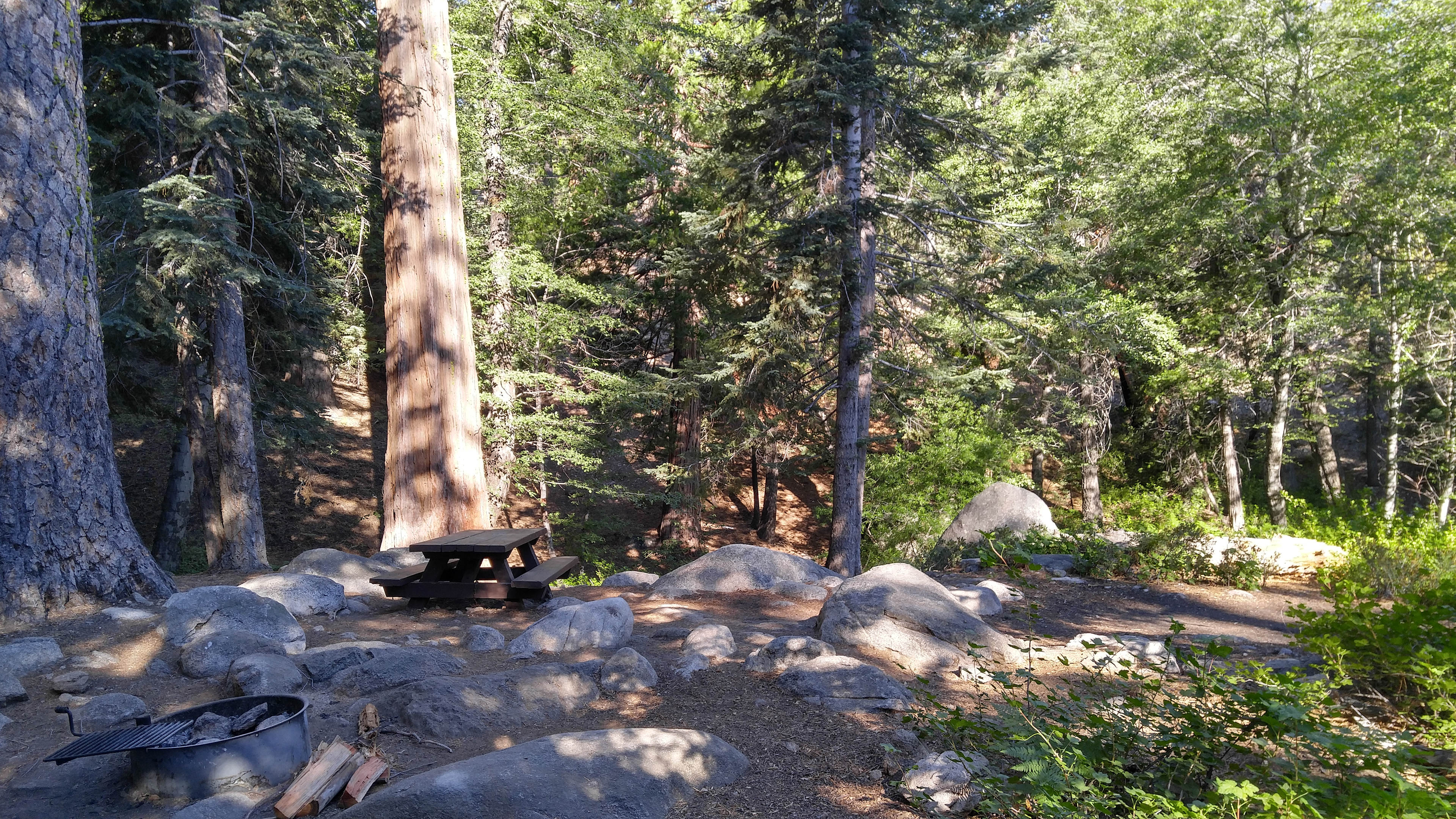 site#2- Pleasantly surprised by the beauty of this site. 5 miles below looks like high desert, but buckhorn is lush. Giant ponderosa pines, wildlife. It's 7k feet but feels higher.