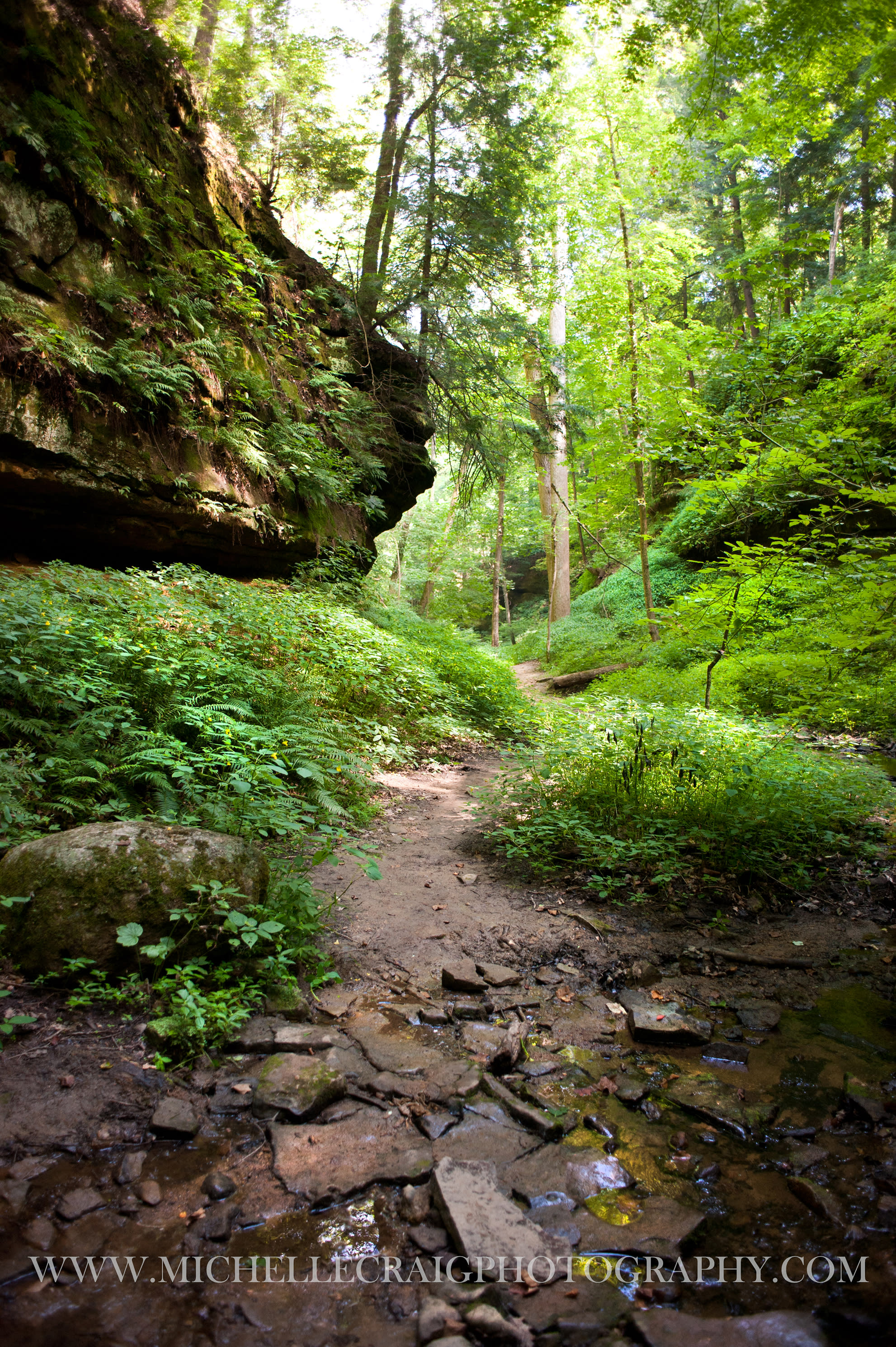 The trails at Shades are so lush, green and diverse. Lace up those boots, they are happy to give you a good challenge!