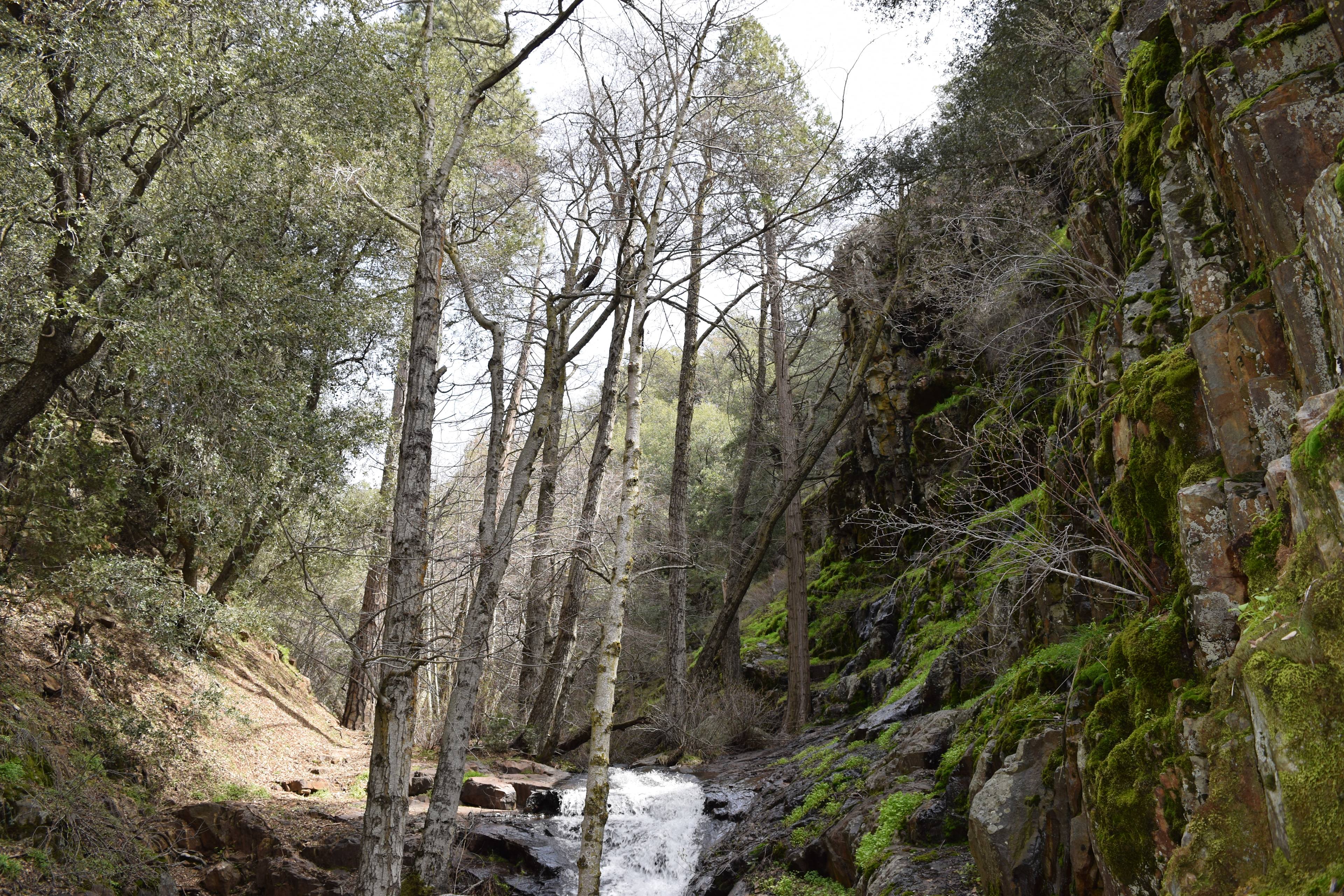 Cascade in the North Campground