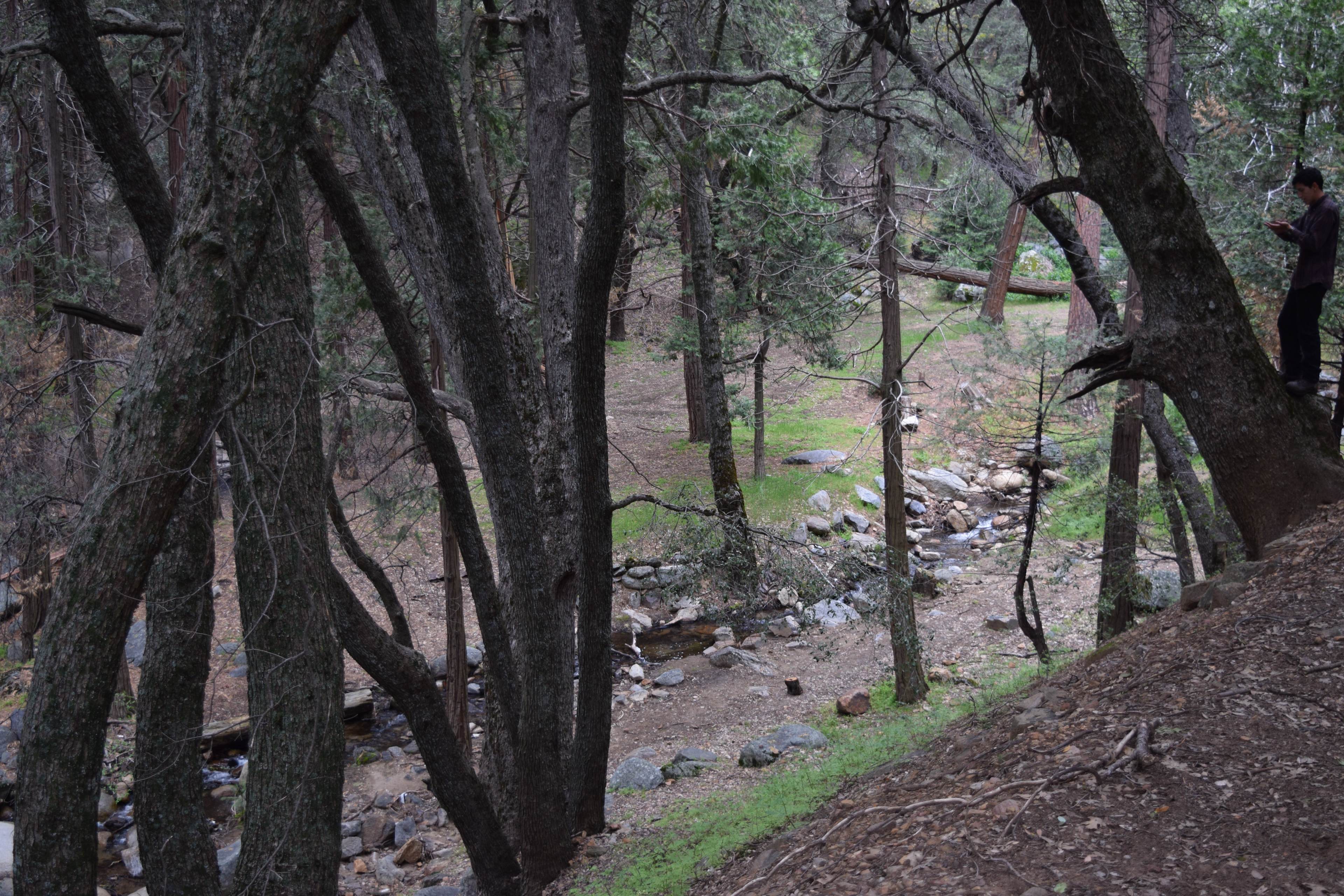 Cedar Creek Campground