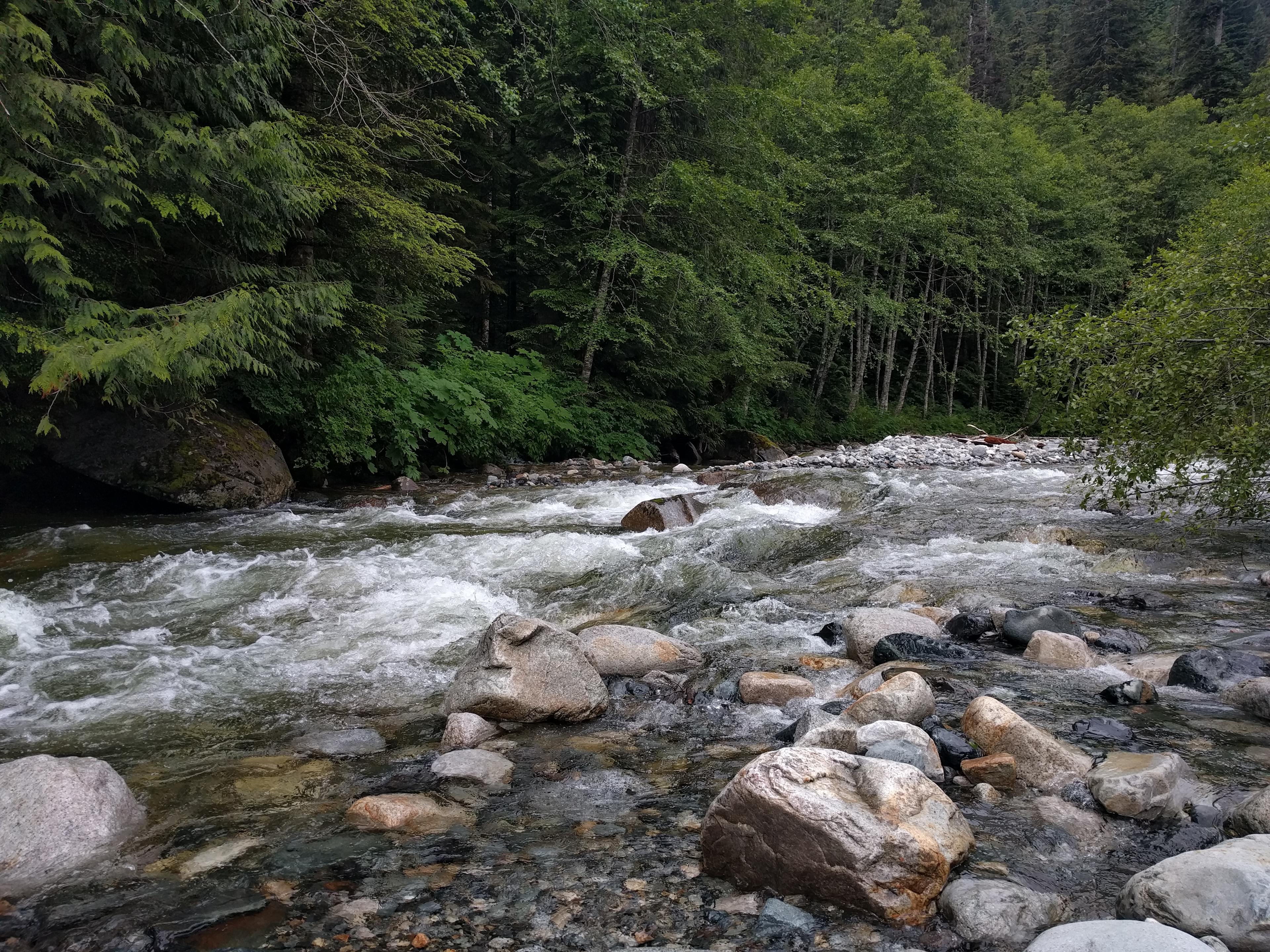 View of the river near our site