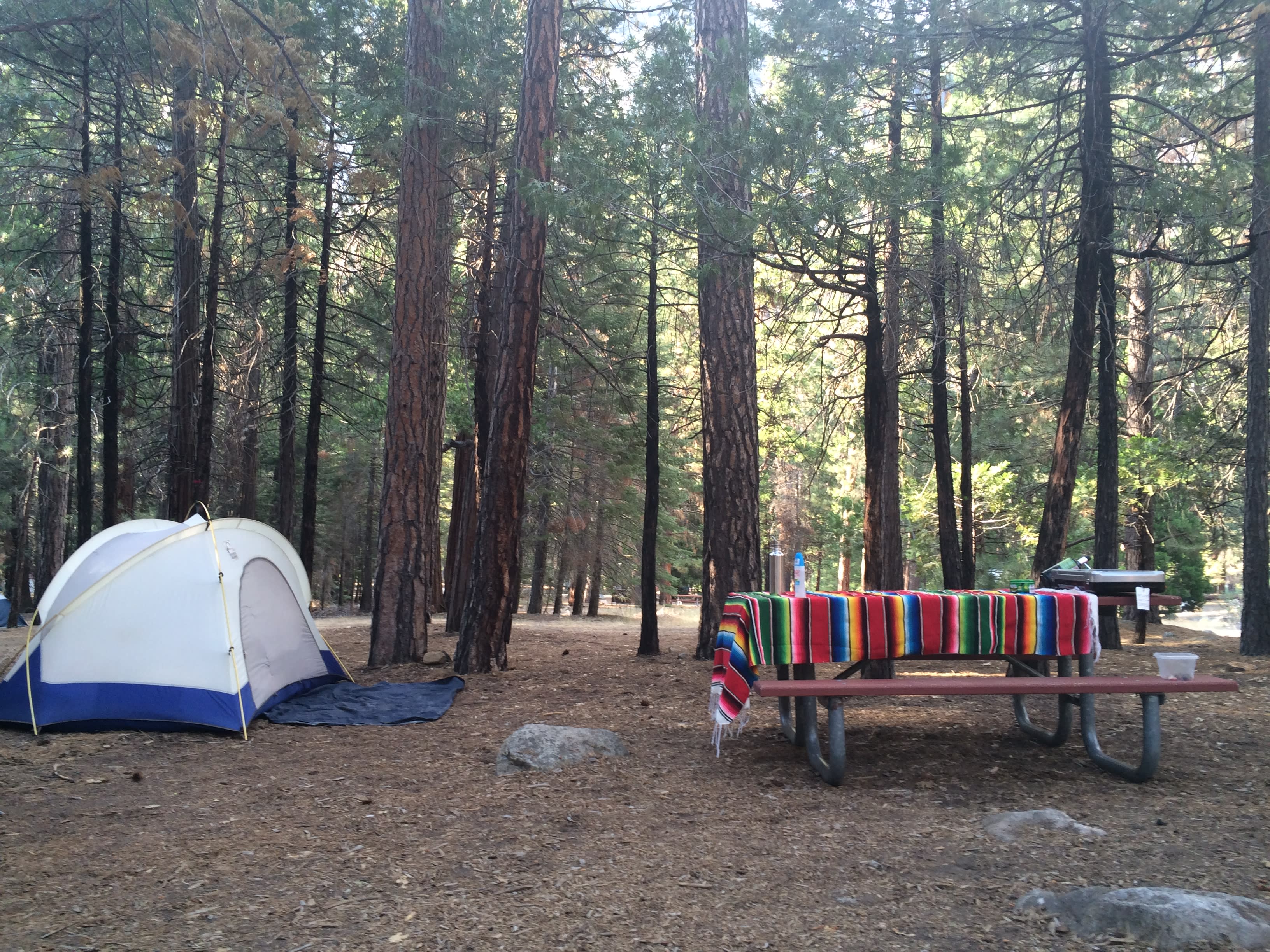 Leafy shade, all day long.