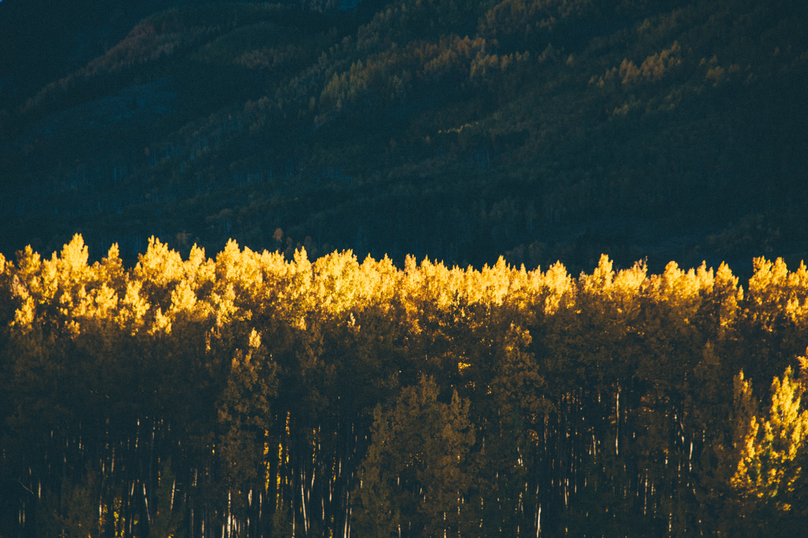 Grand Mesa National Forest
