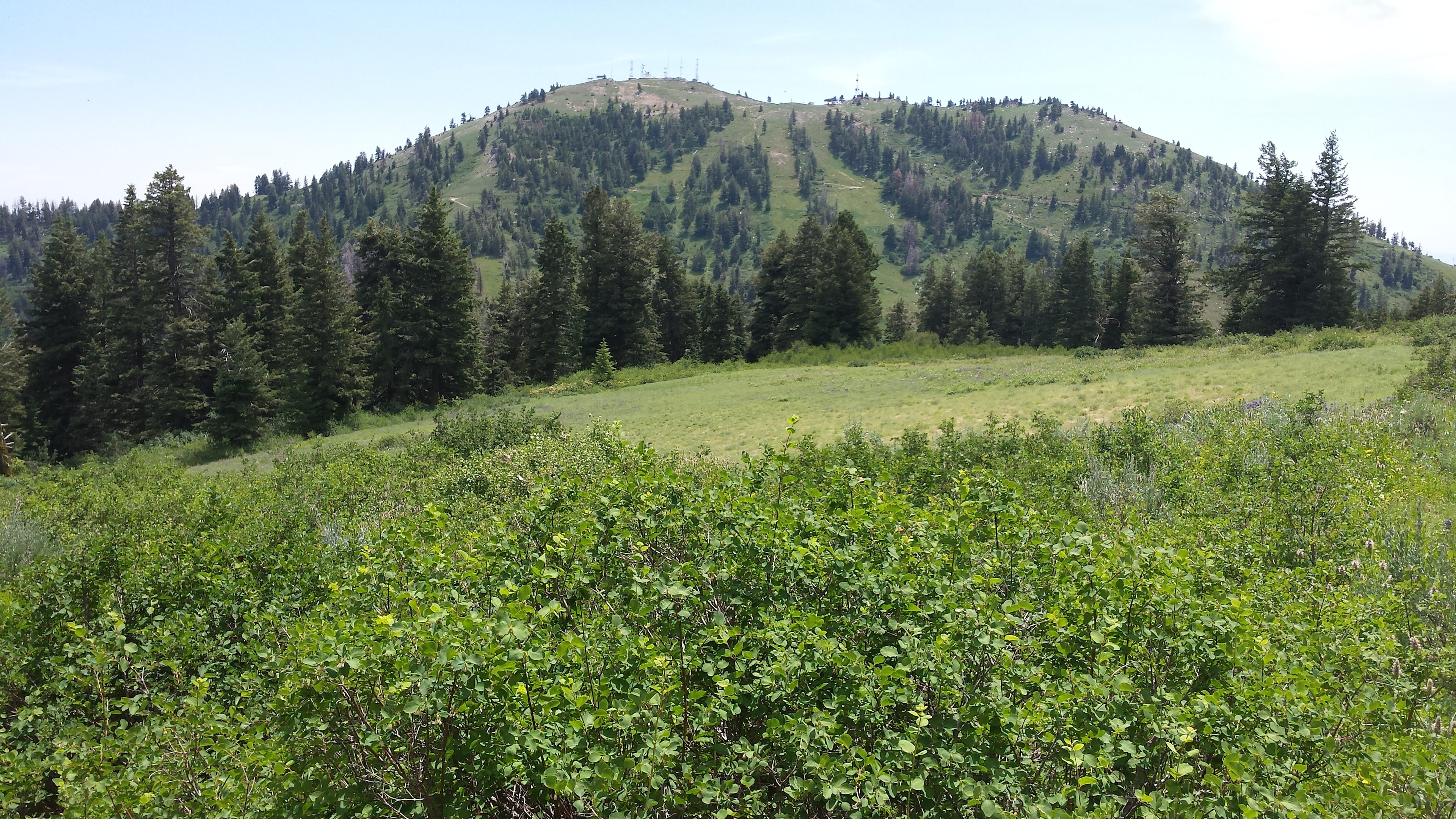 Listen to the sound of the wind rippling through the aspen trees... Hike past Alpine meadows then cool down in the shade of evergreens 40 ft and taller!