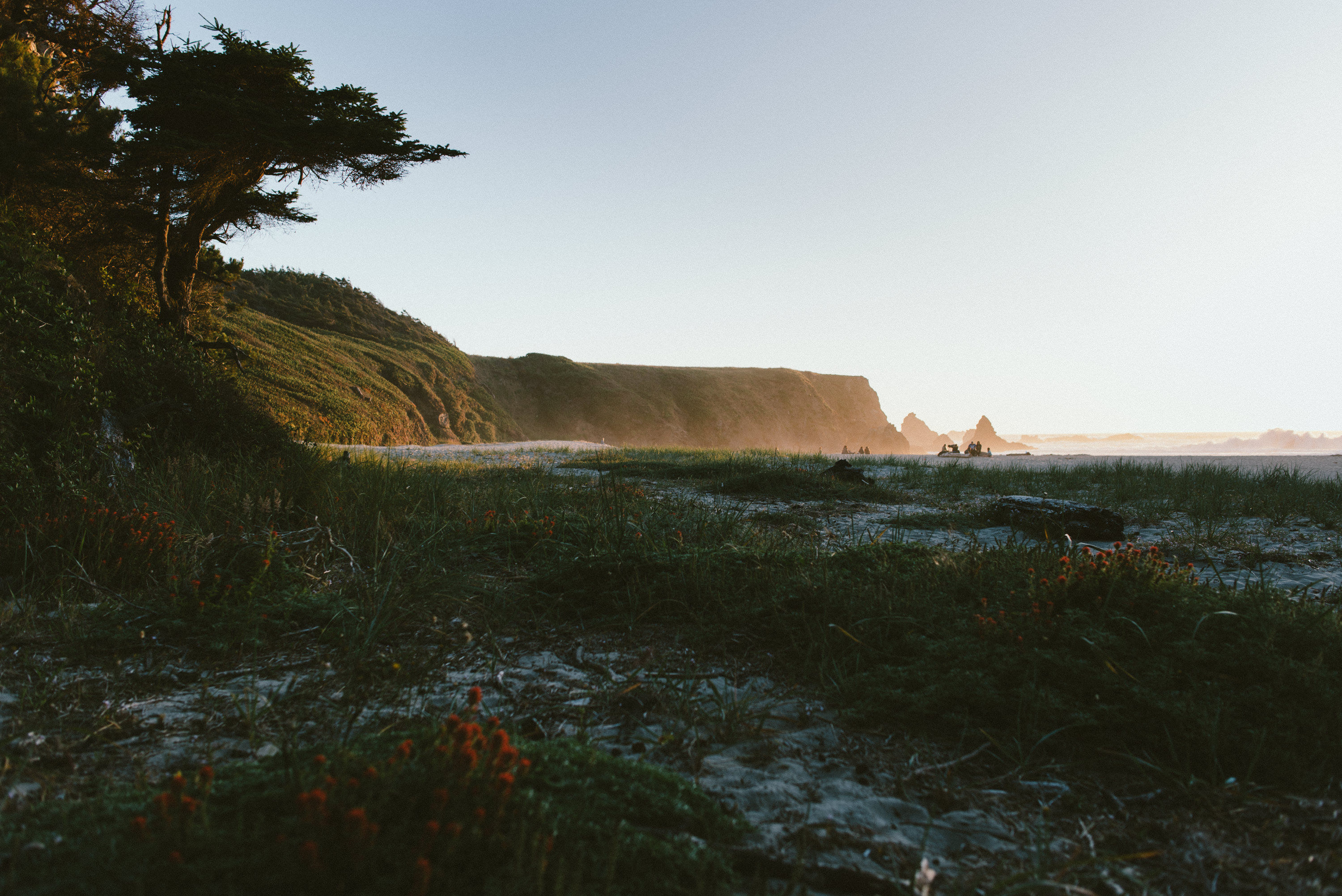 Sunset at Jughandle Beach