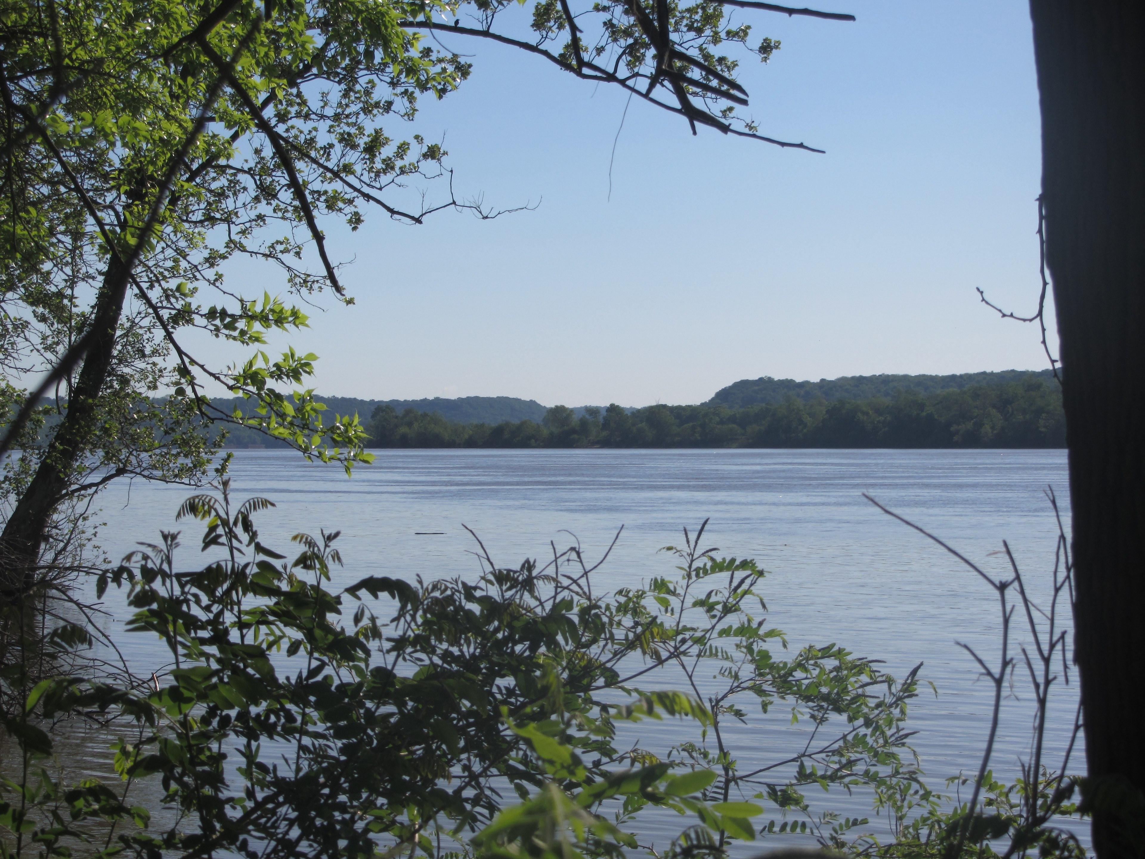 View of the Ohio River from Trail 7