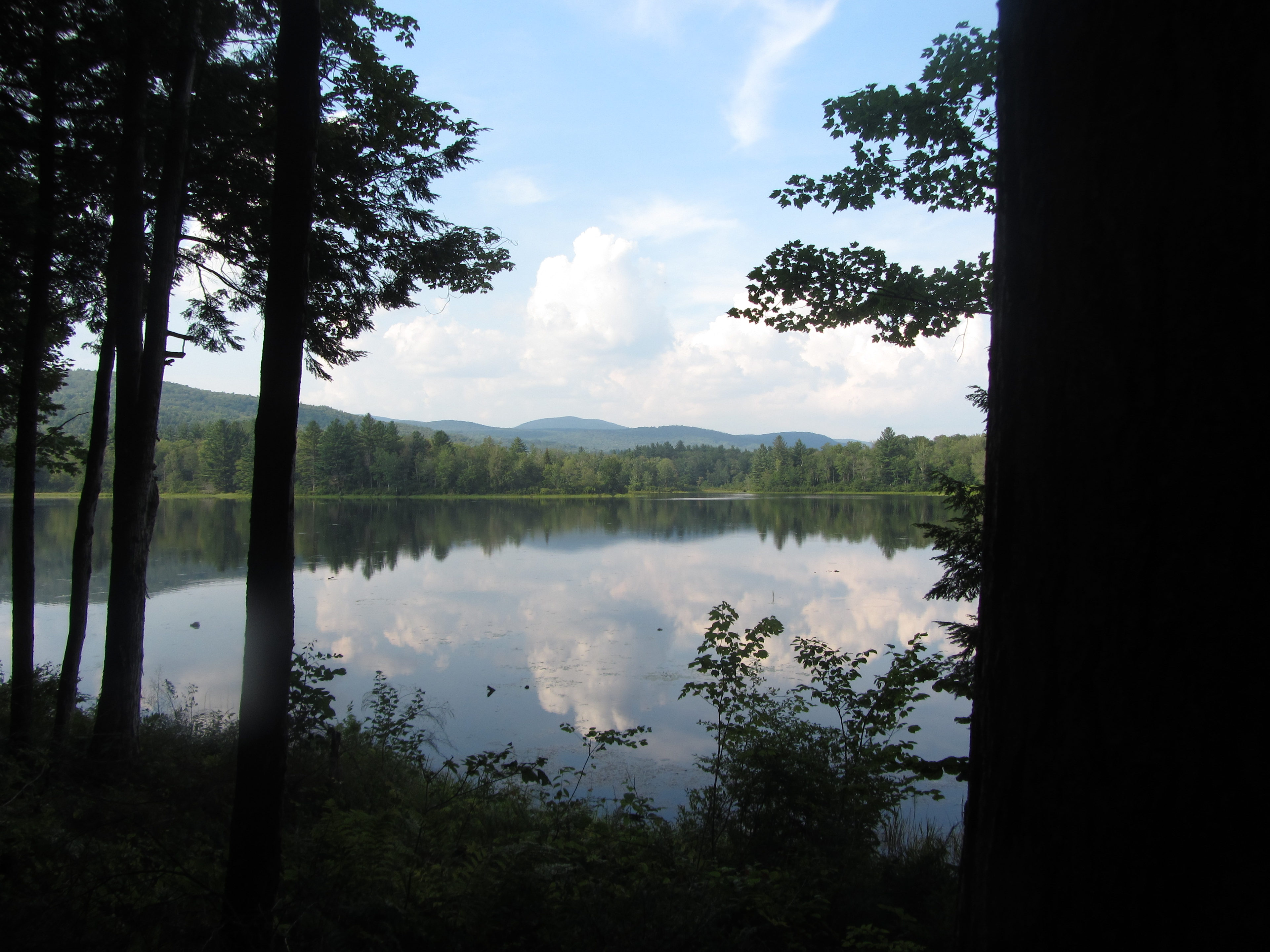 View of Mauserts Pond from the Shoreline trail