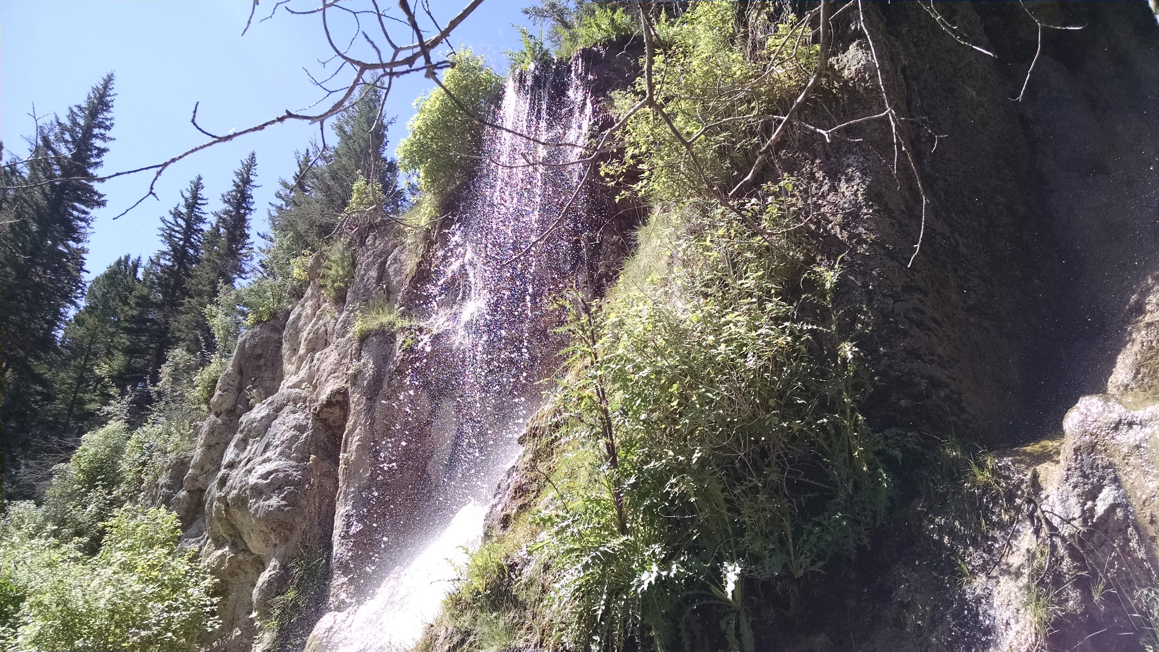 One of the meadows near the springs, all potential camping spots!