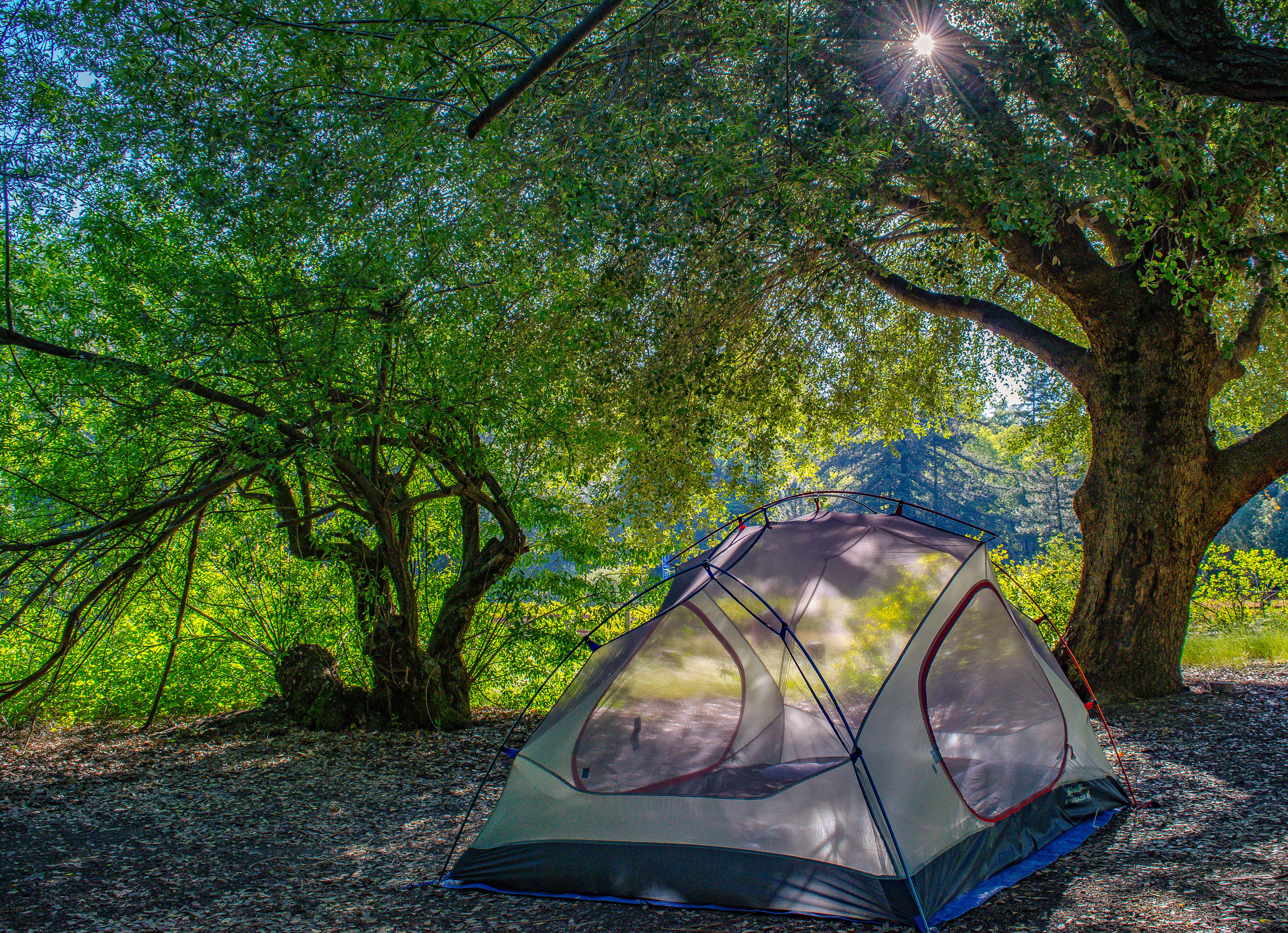 Our tent was well shaded and had some beautiful evening light