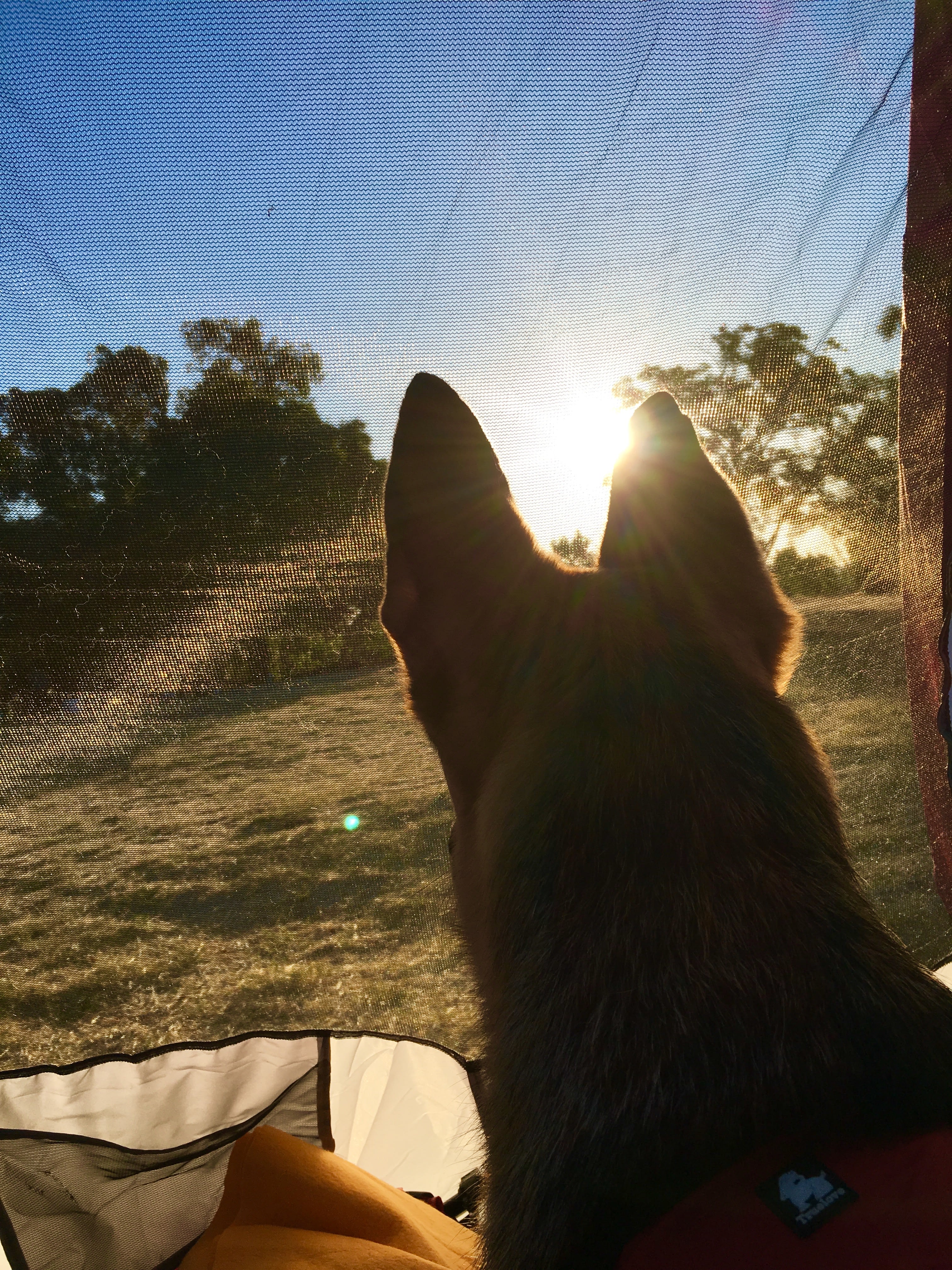 Enjoying the morning sunrise