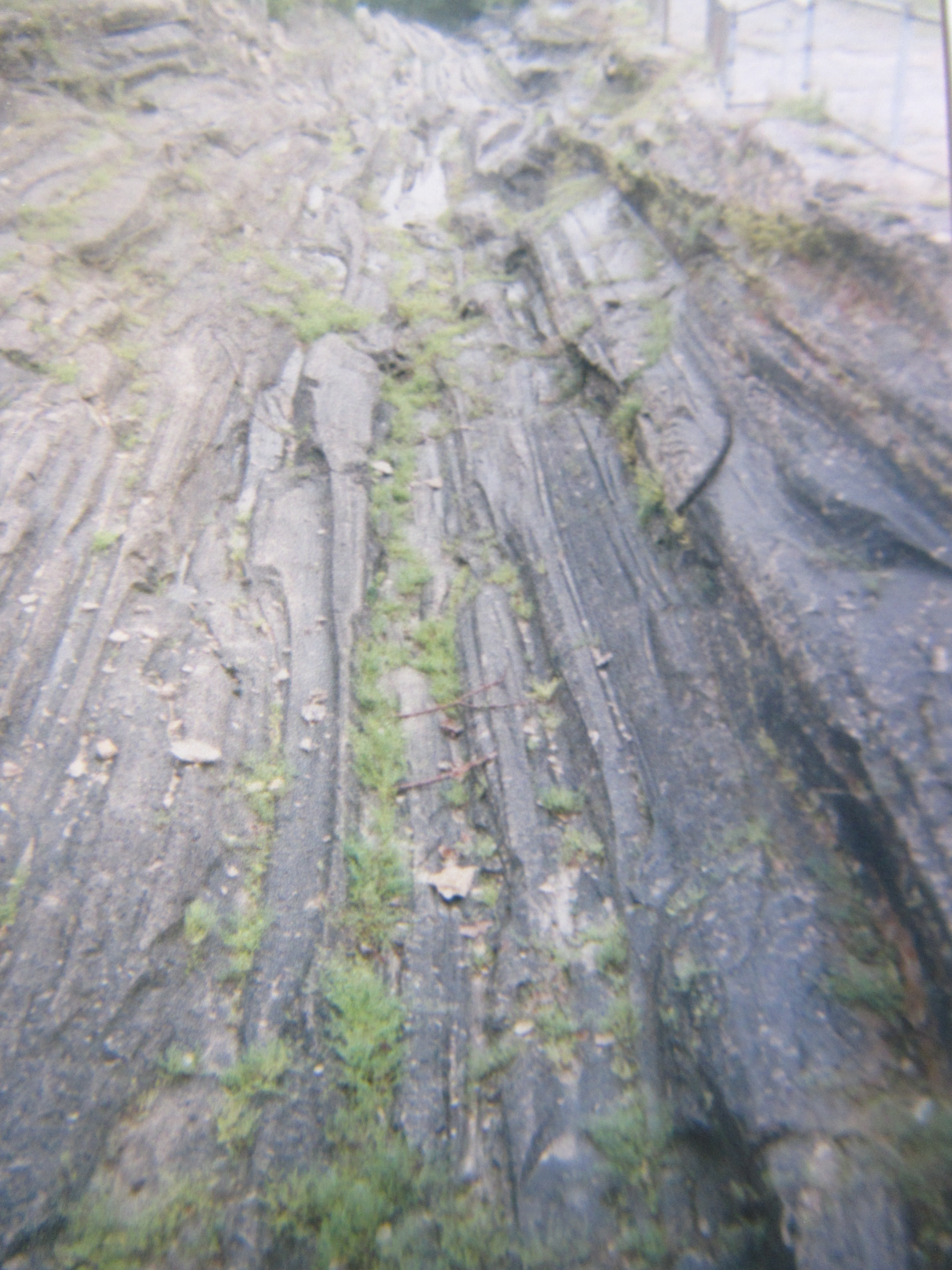 Glacial Grooves
