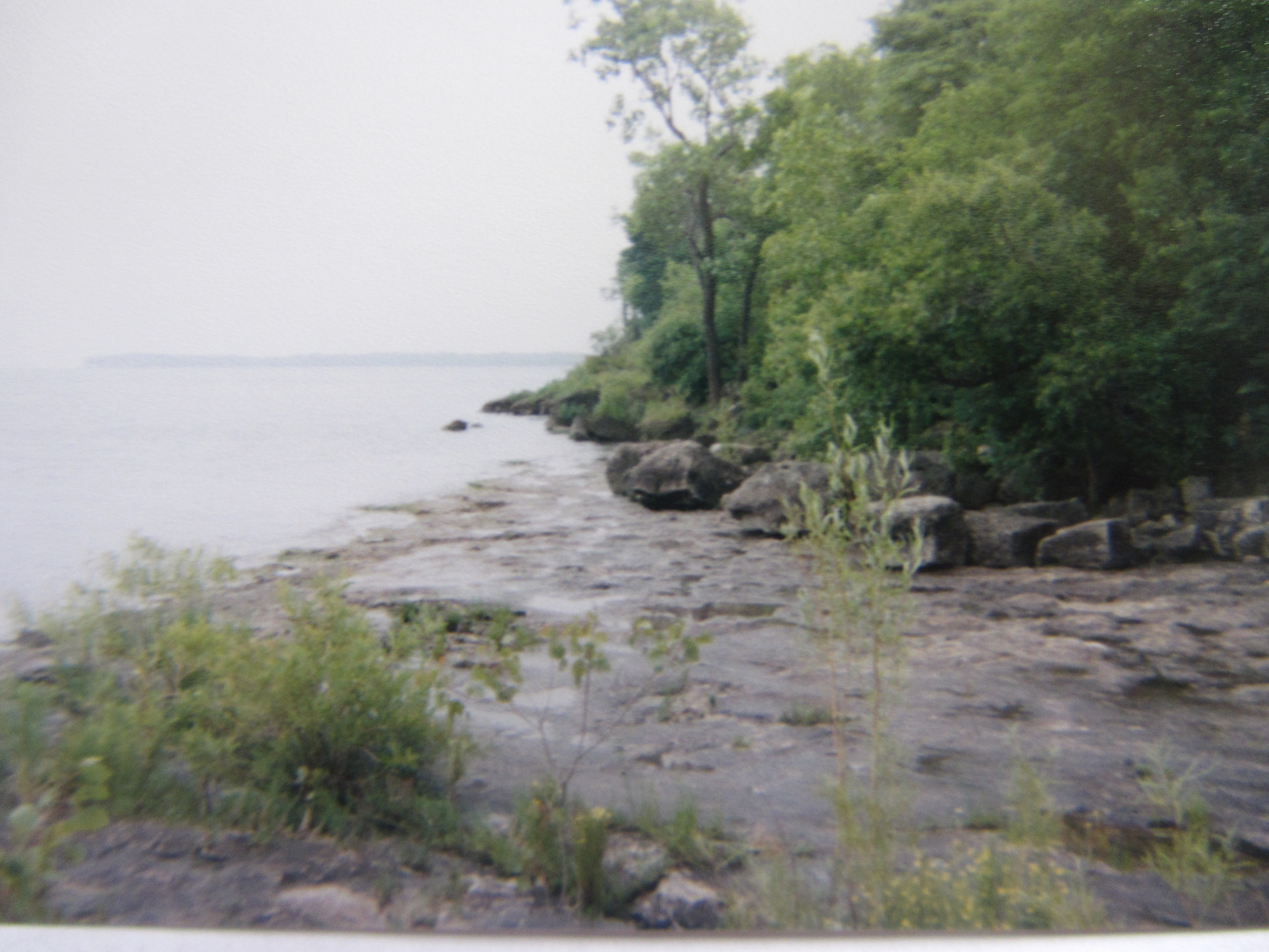 Another view from the trail