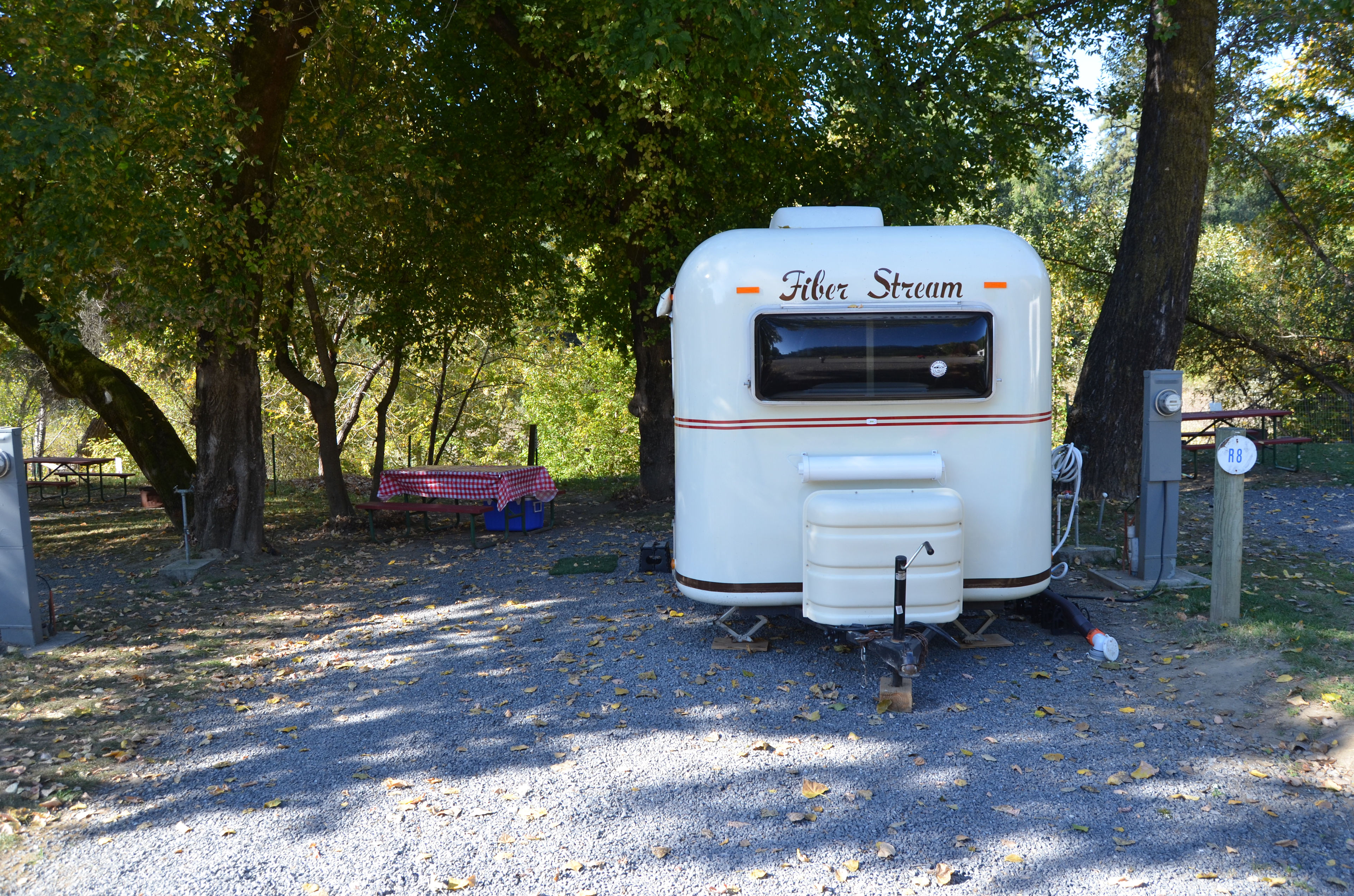 Many of our RV sites overlook the Russian River! 