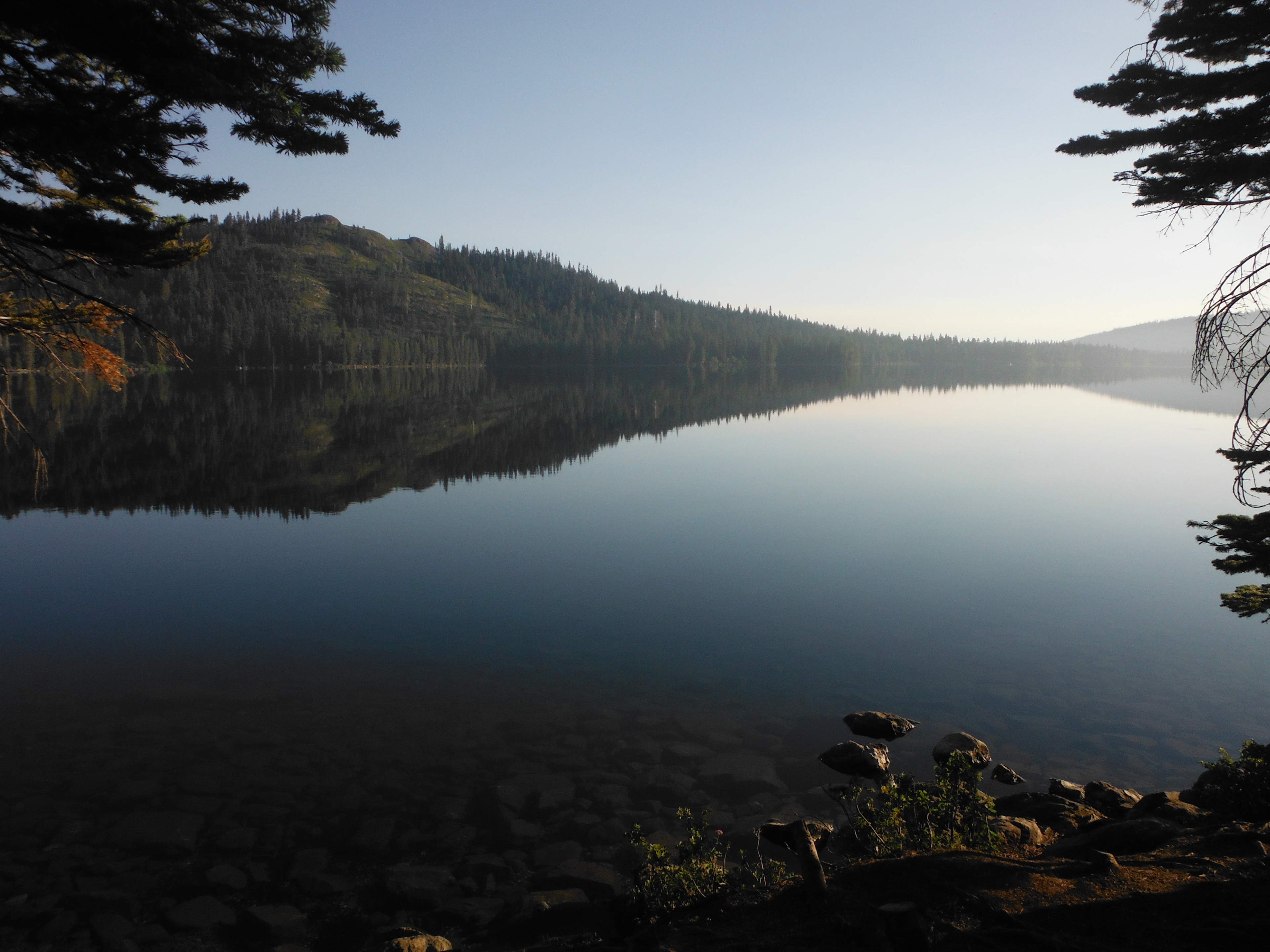 Plumas National Forest