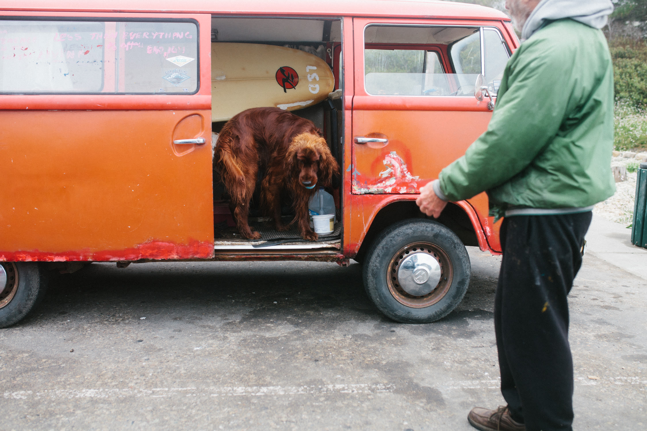 Meet Newman, the friendliest water loving dog.