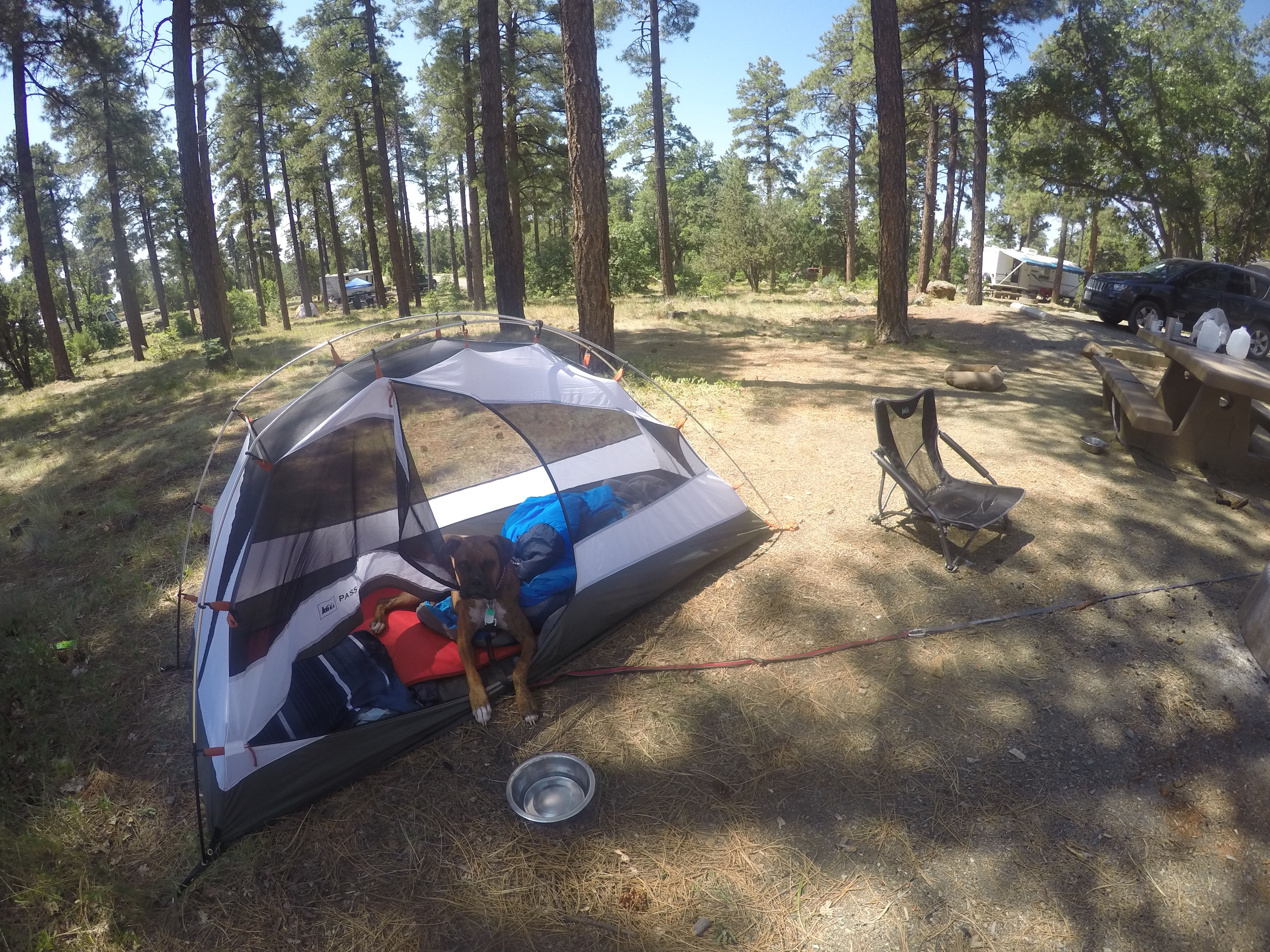 Mingus Mountain Campground