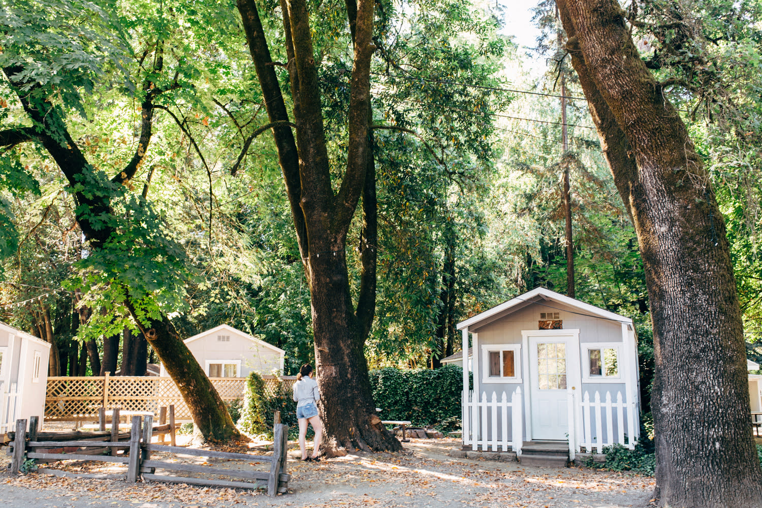 Lots of trees for shade and privacy
