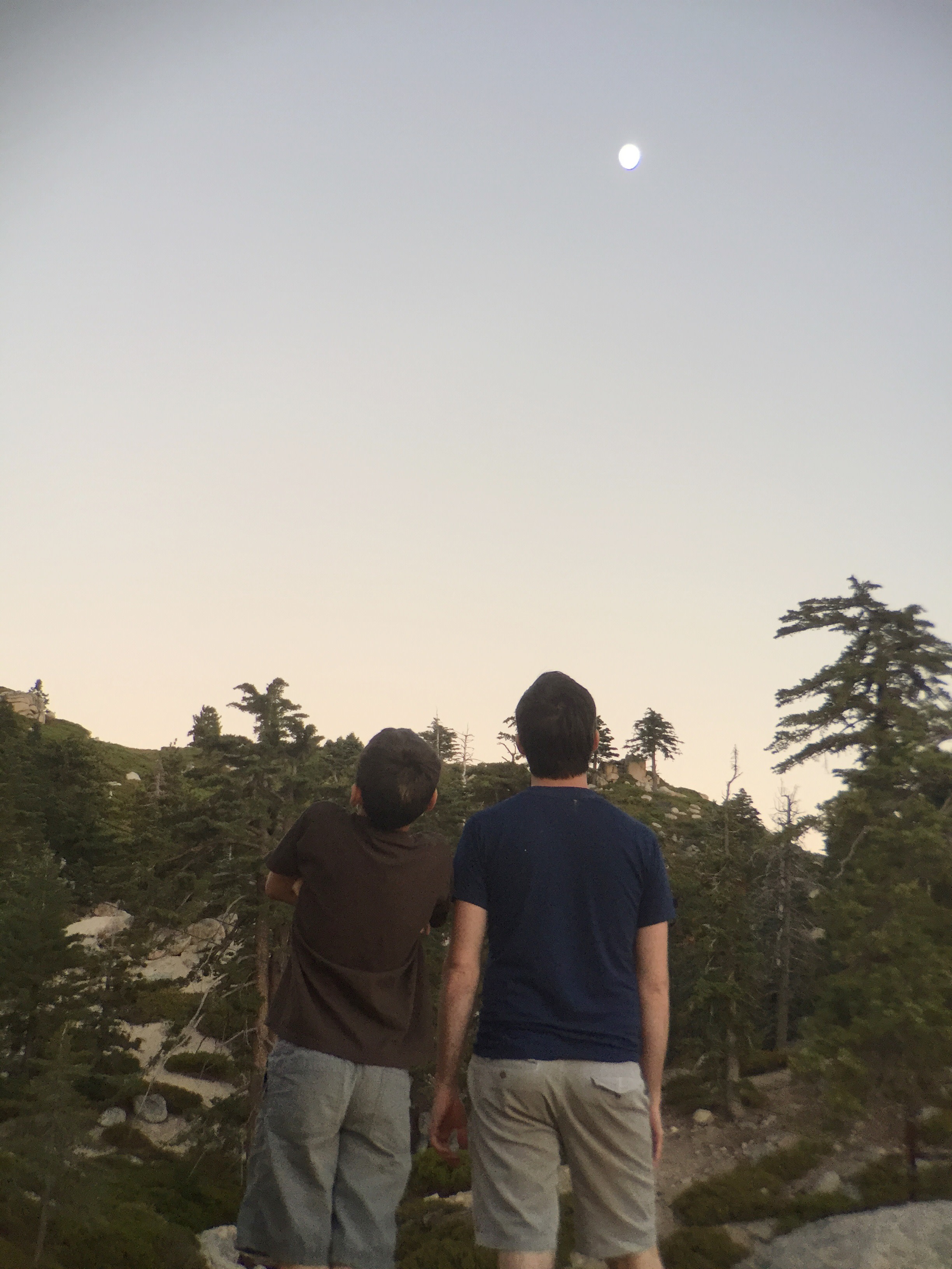 Keller Peak Yellow Post Sites