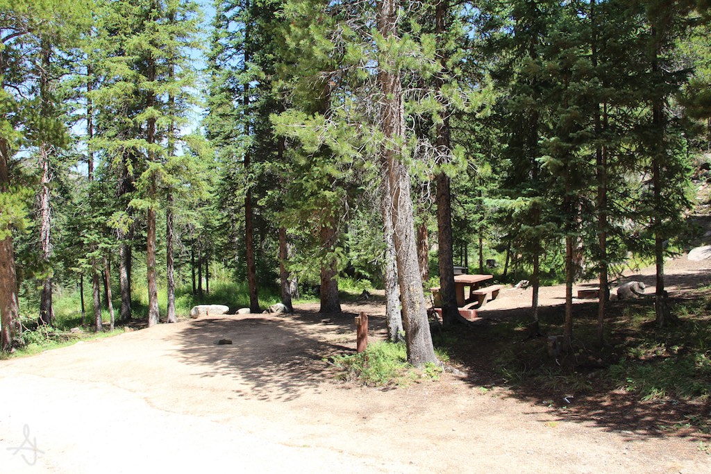 Sites tucked into the woods