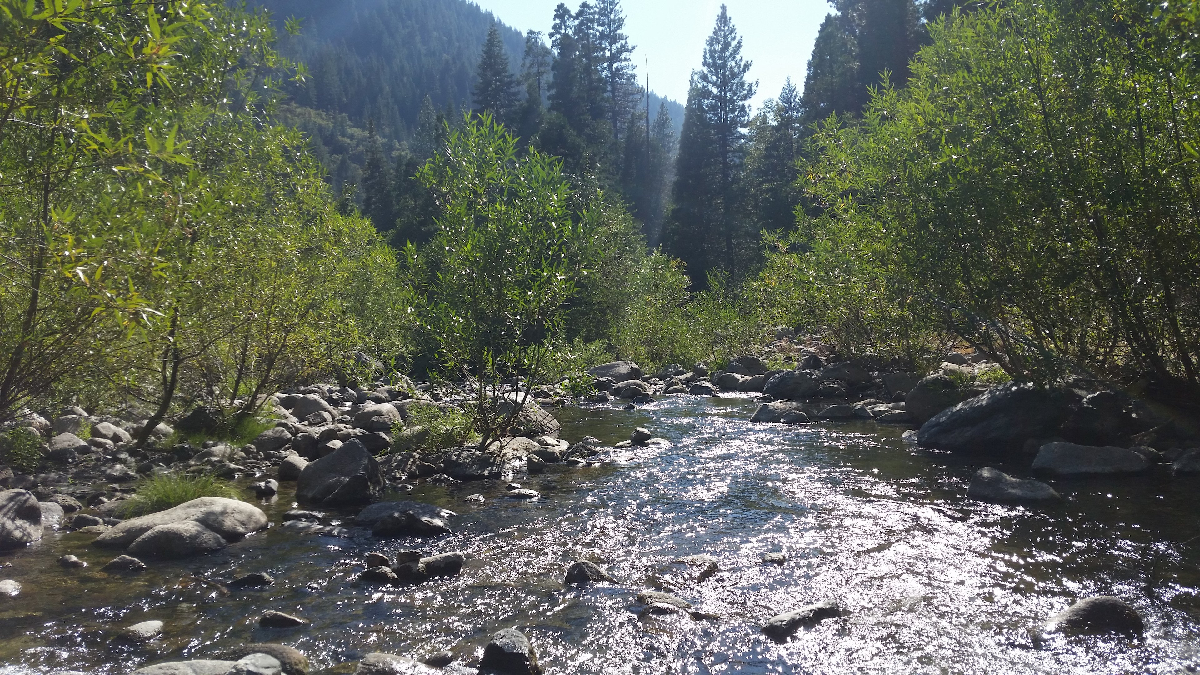 A look downstream below the swimming area.