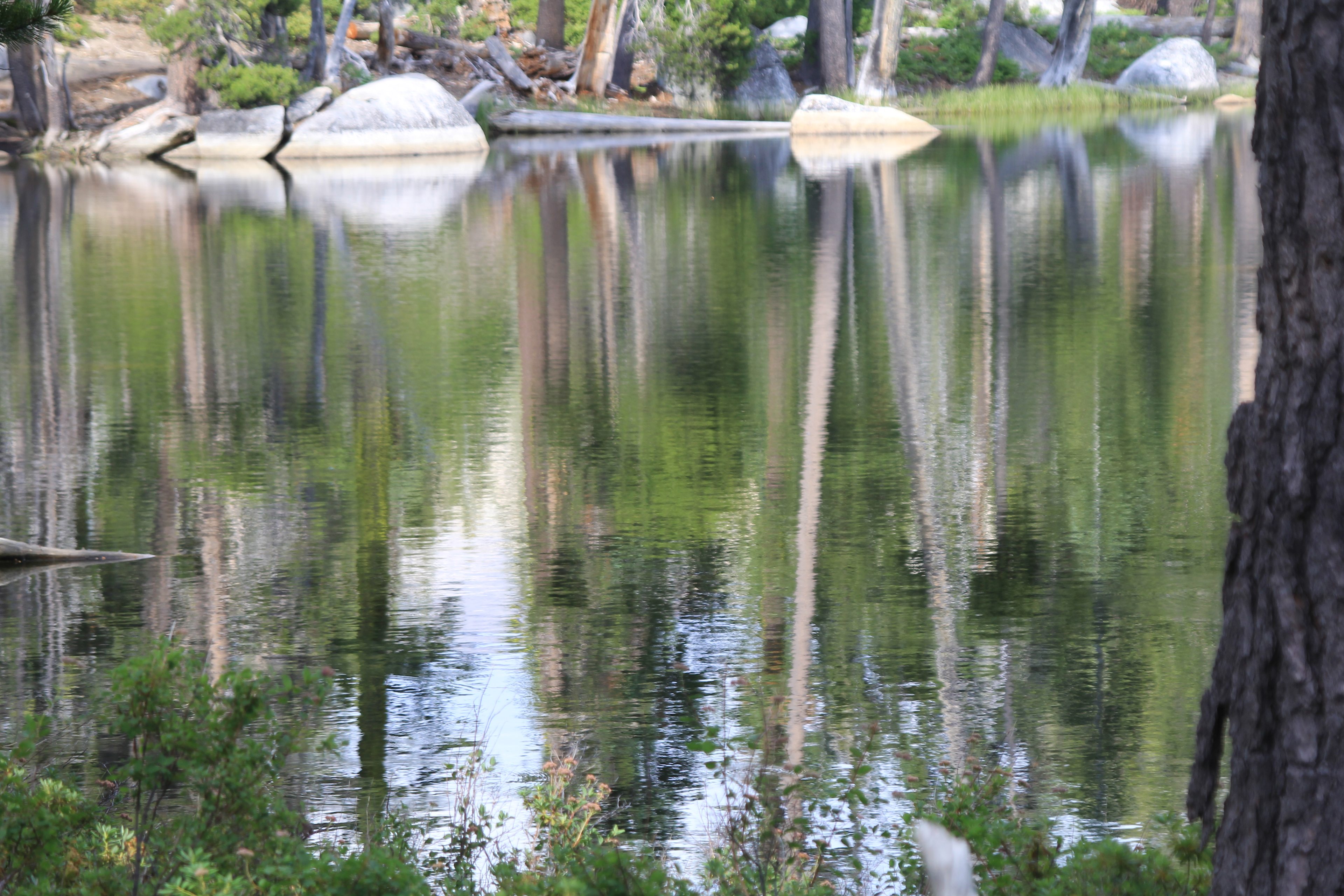 Morning on the lake is our favorite time