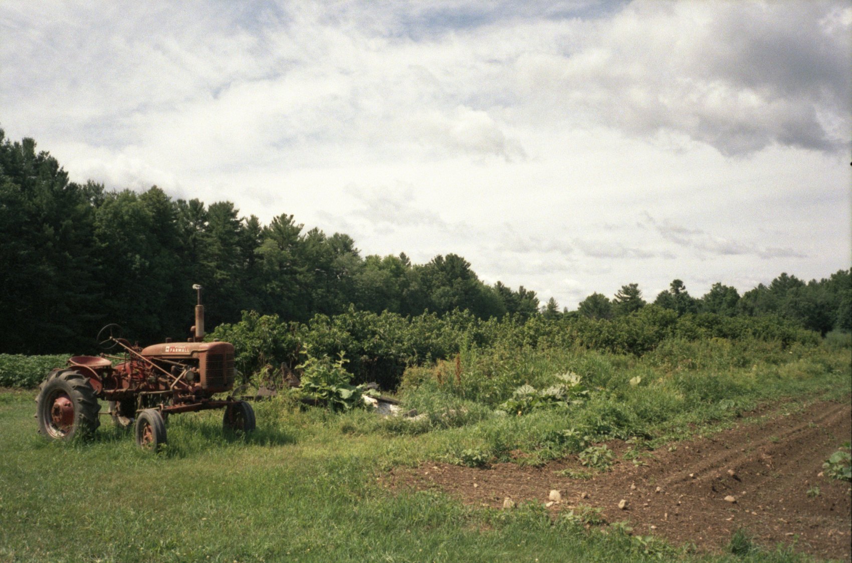 Moon In The Pond Farm