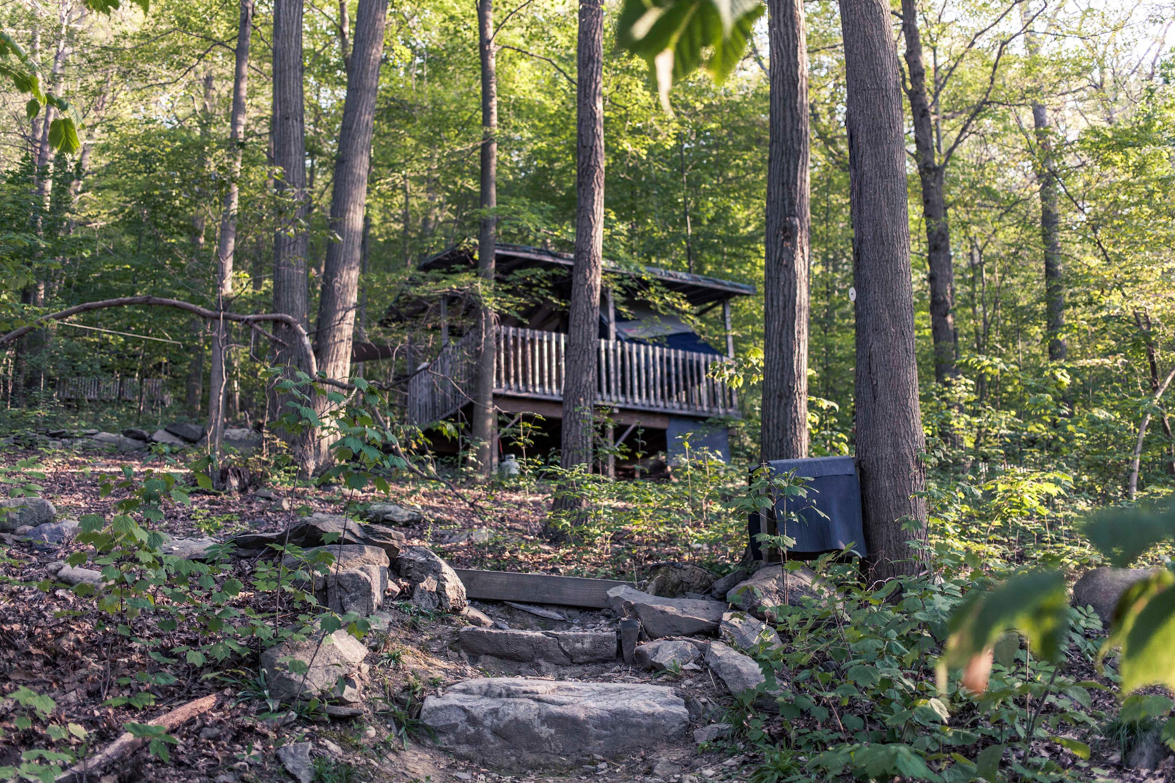Secluded wee spot amongst the trees
