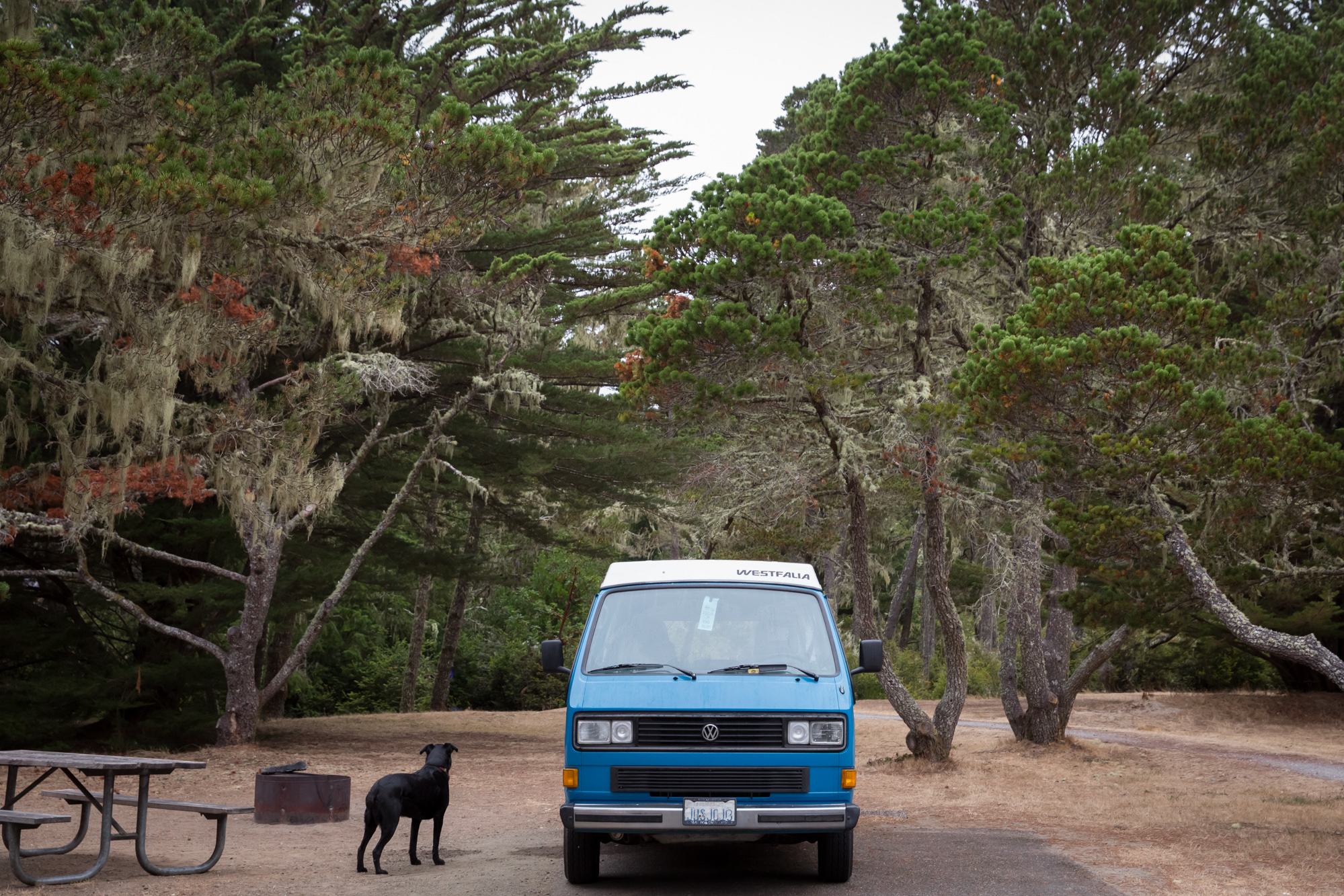 Bullards Beach State Park