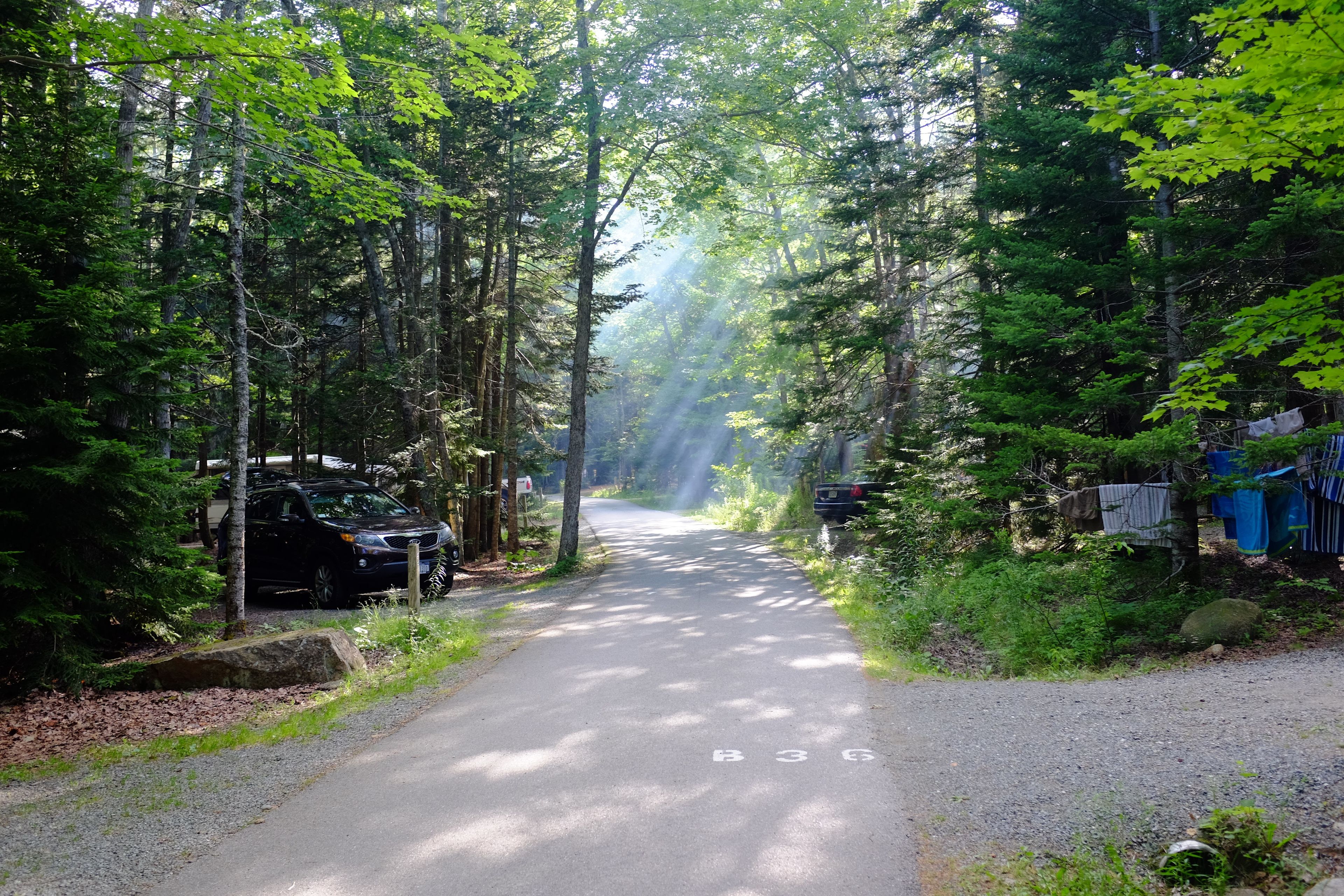 Blackwoods campground